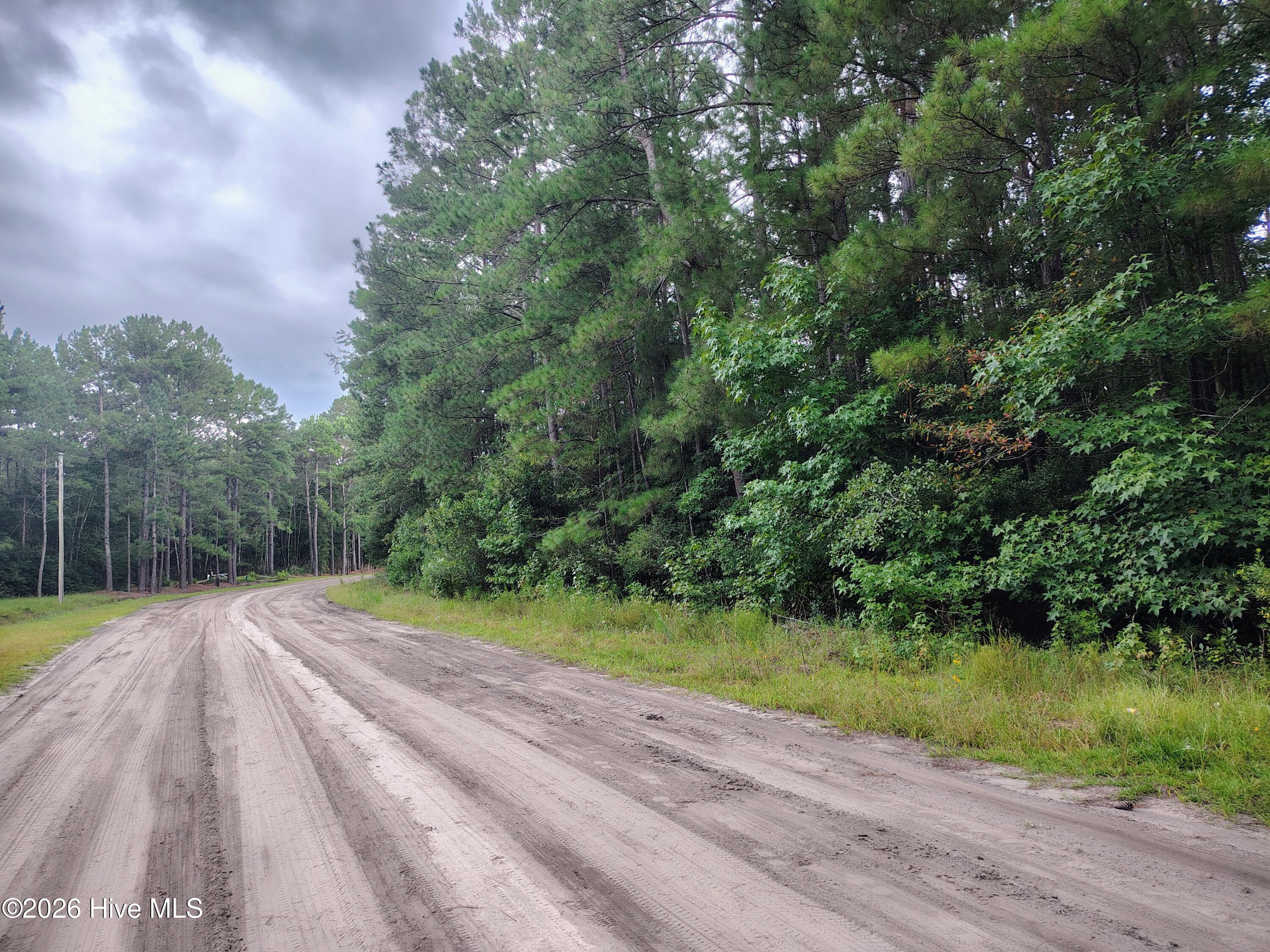 5th image of Lot 45 Near 519 Deer Ln, Tabor City, NC 28463 | MLS# 100600263