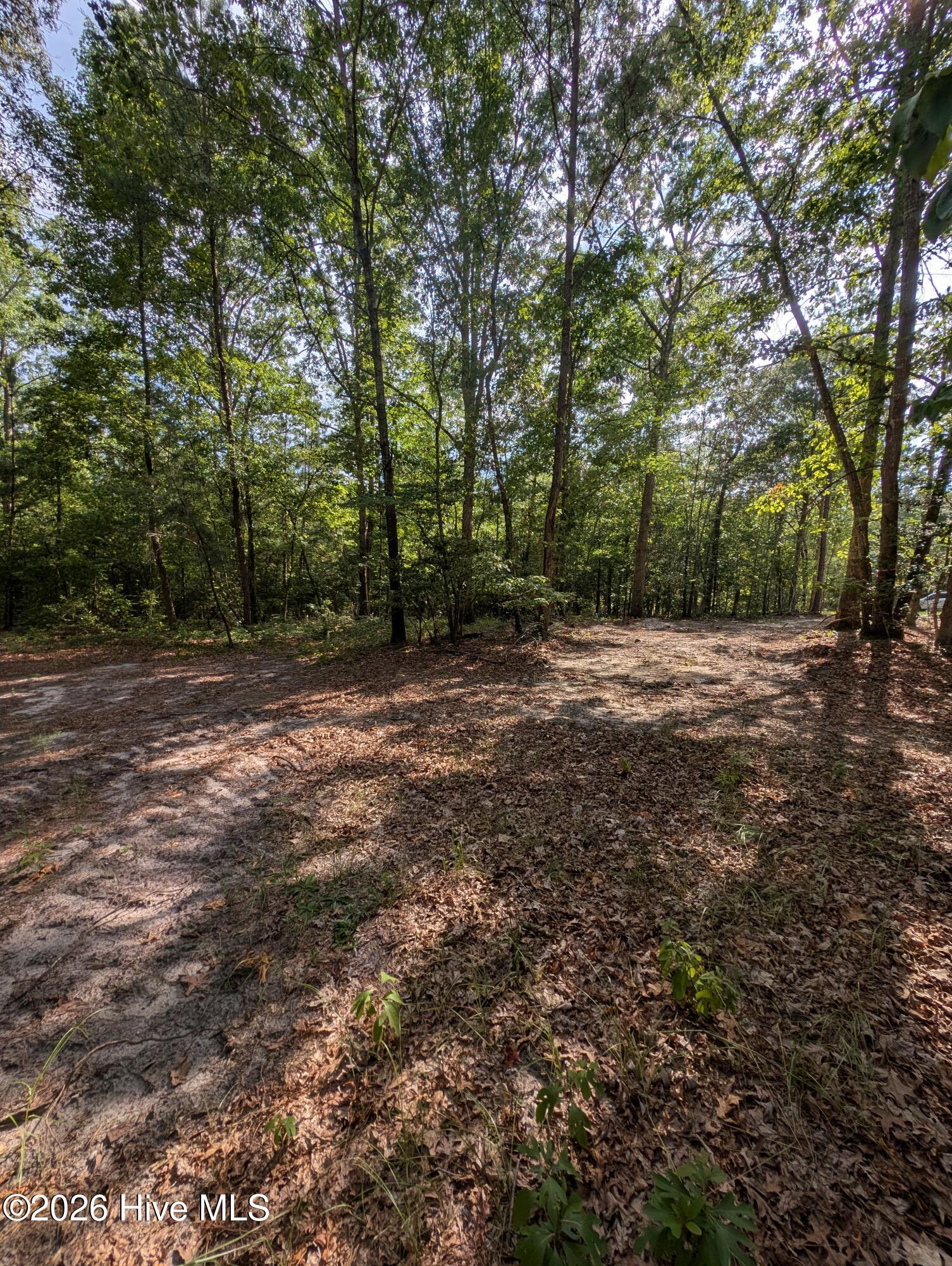 Exterior photo of Tbd 2R-2 Peyton Drive, Eagle Springs, NC 27242. MLS: 100591252