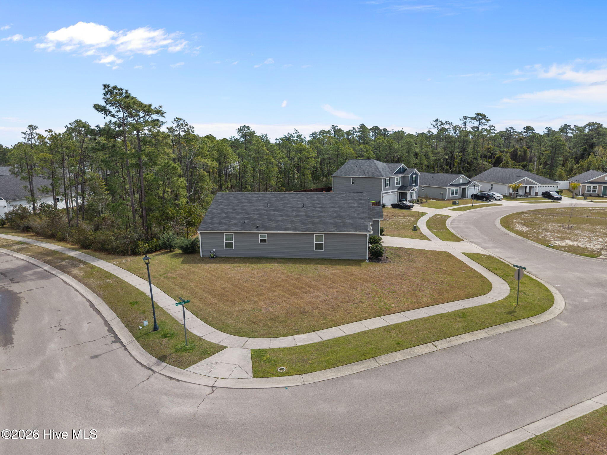 100564485 | Photo 45