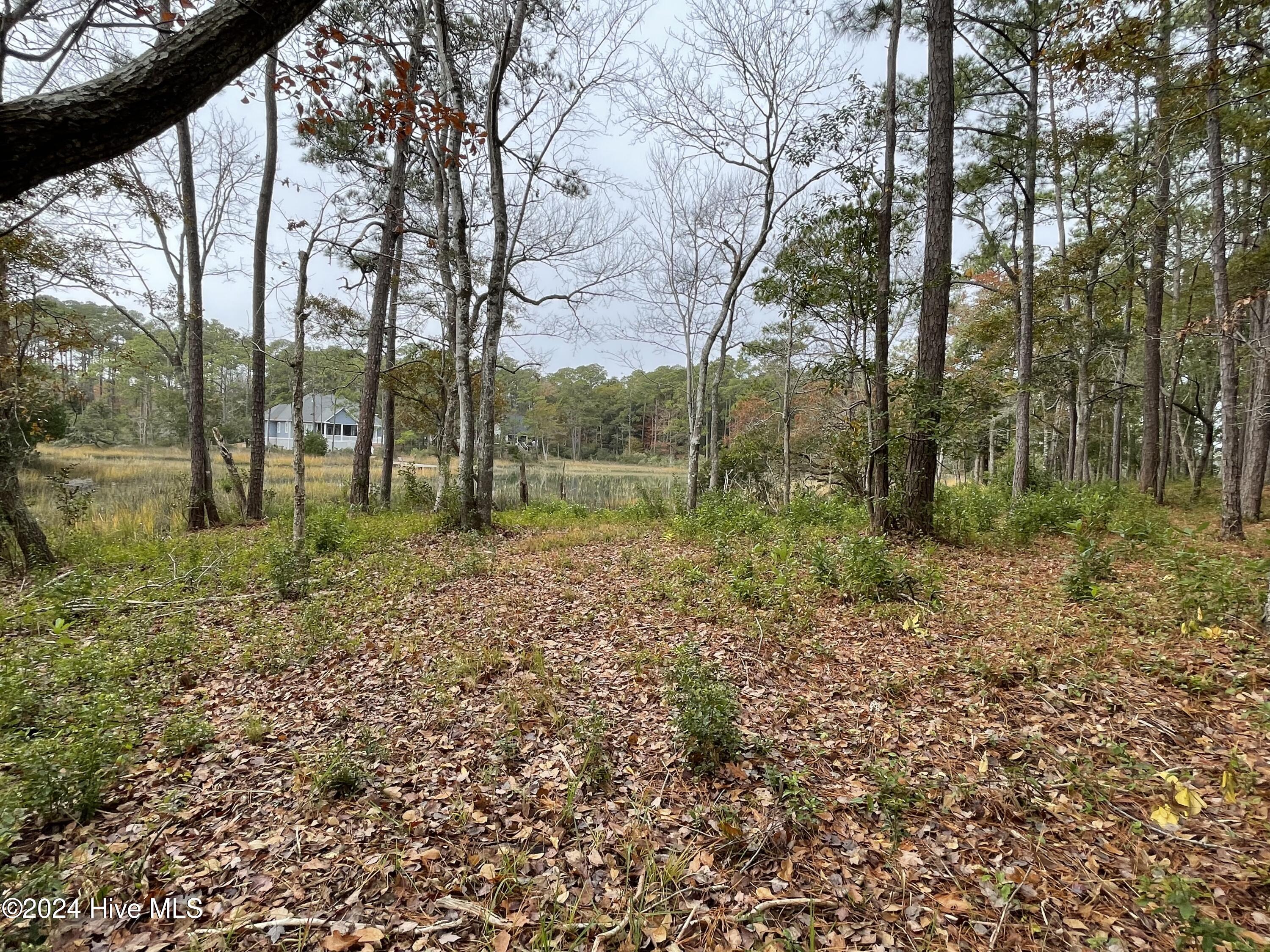 100481360 | Photo 20