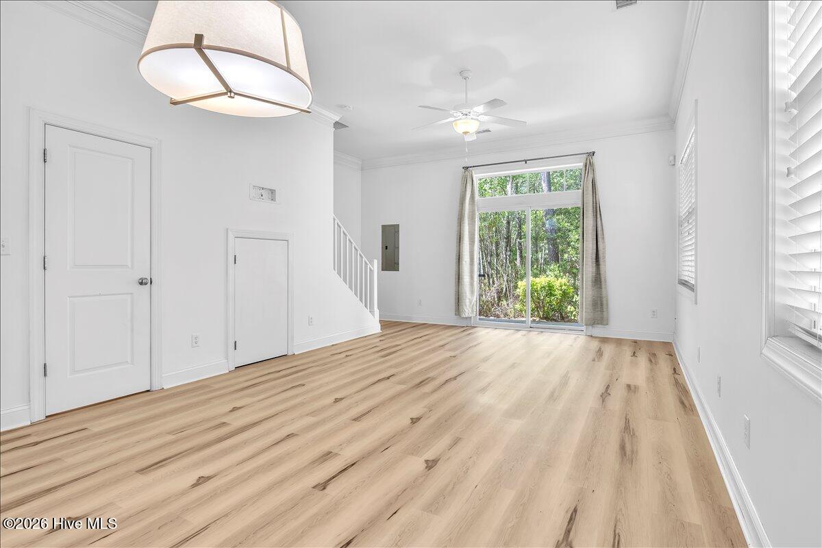 100567223 | Photo 12