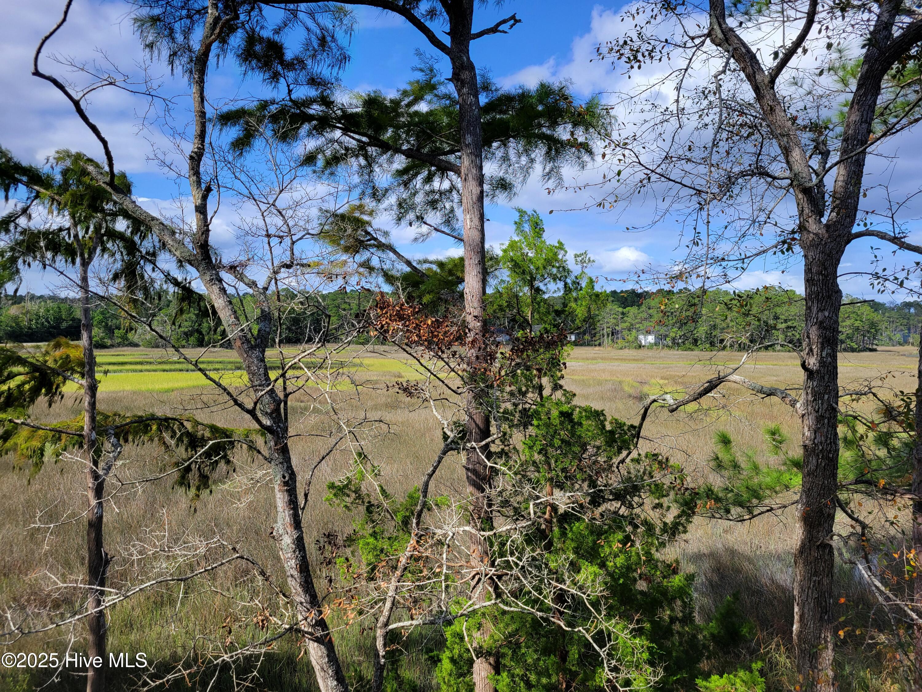 100534817 | Photo 24