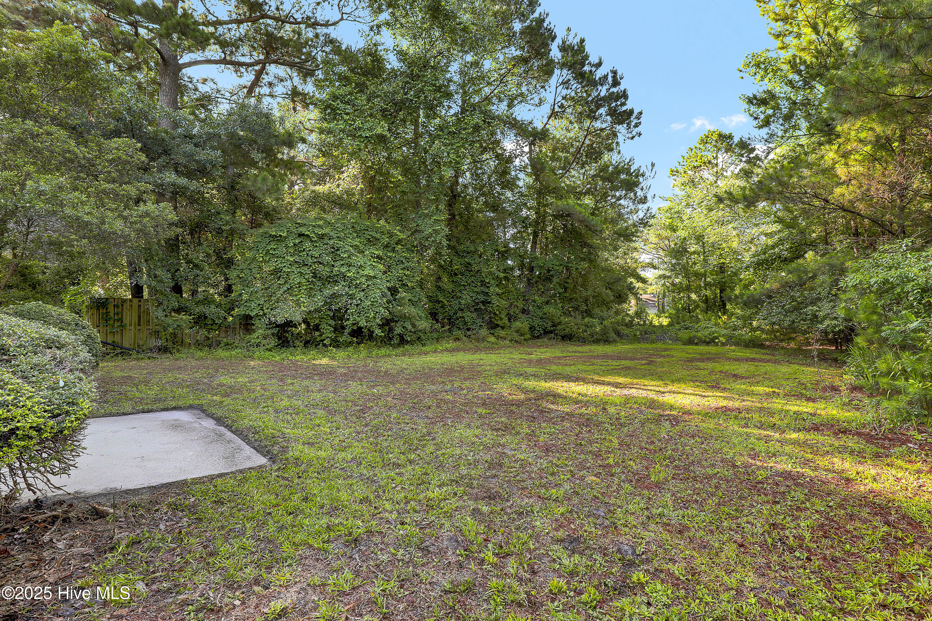 100543829 | Photo 22