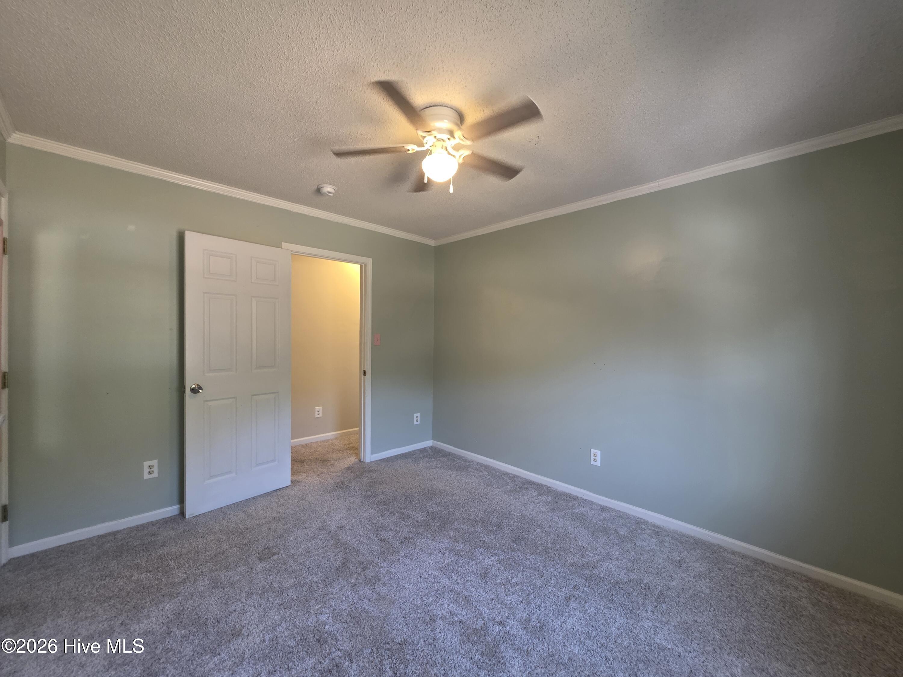 100553937 | Photo 16