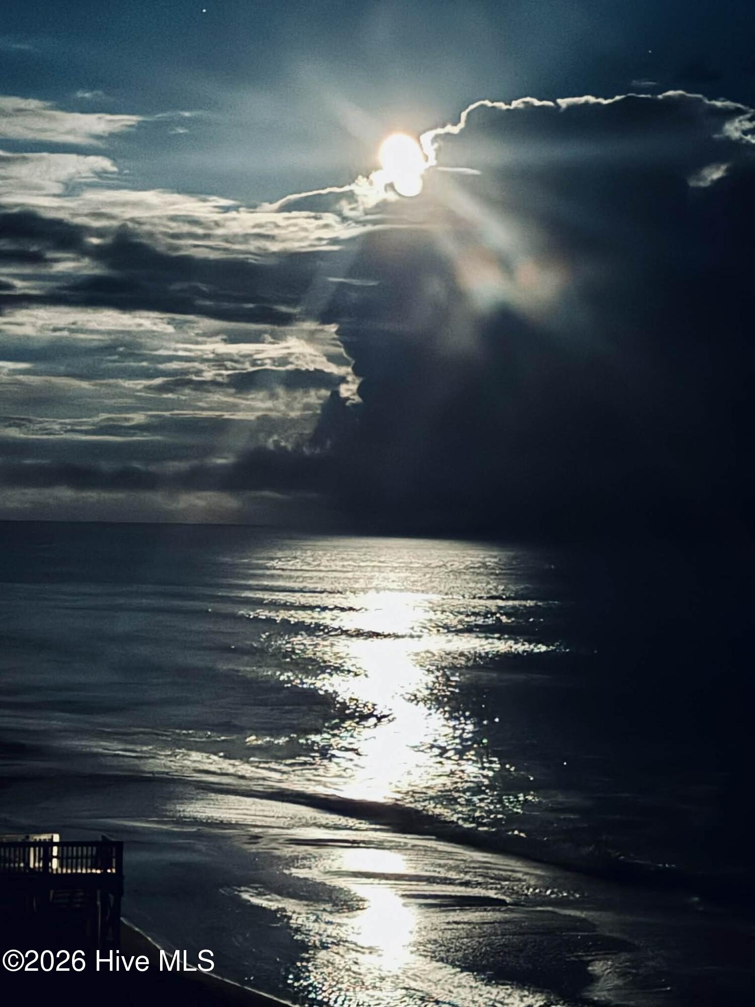 100563285 | Photo 67