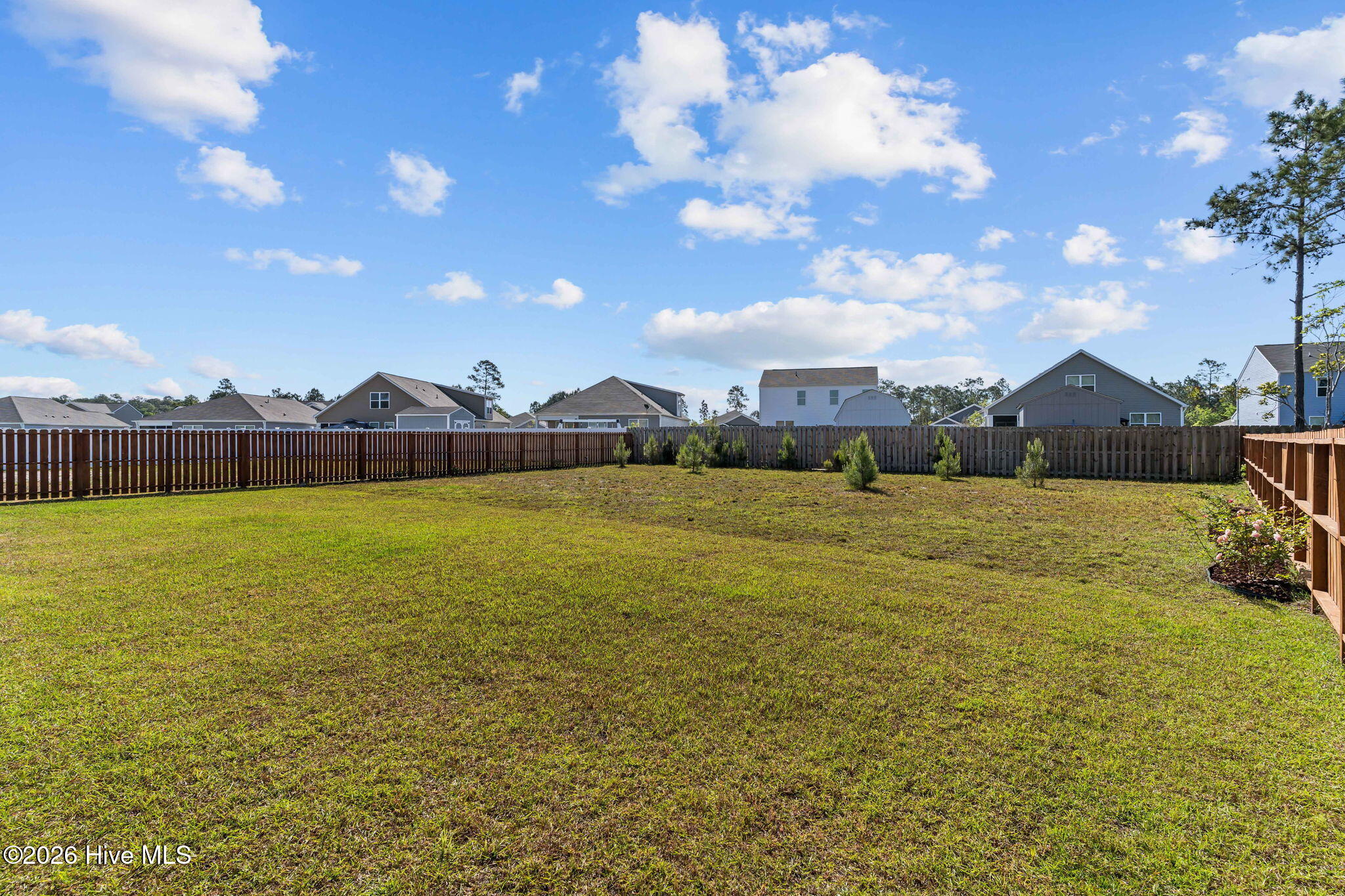 100569205 | Photo 41