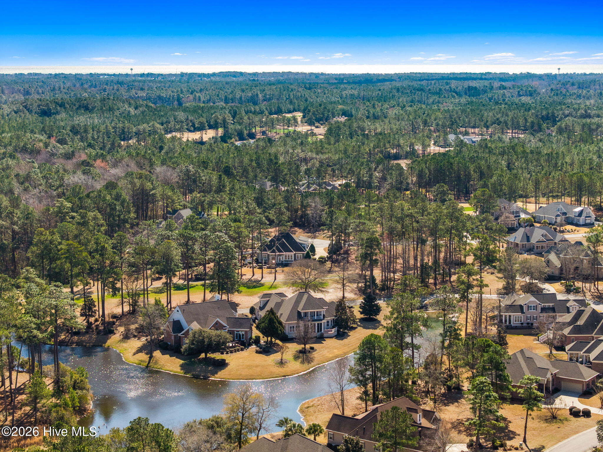 100559683 | Photo 64