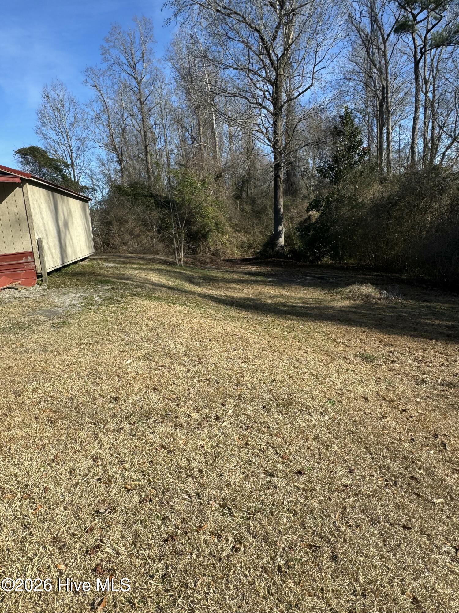 100542592 | Photo 15