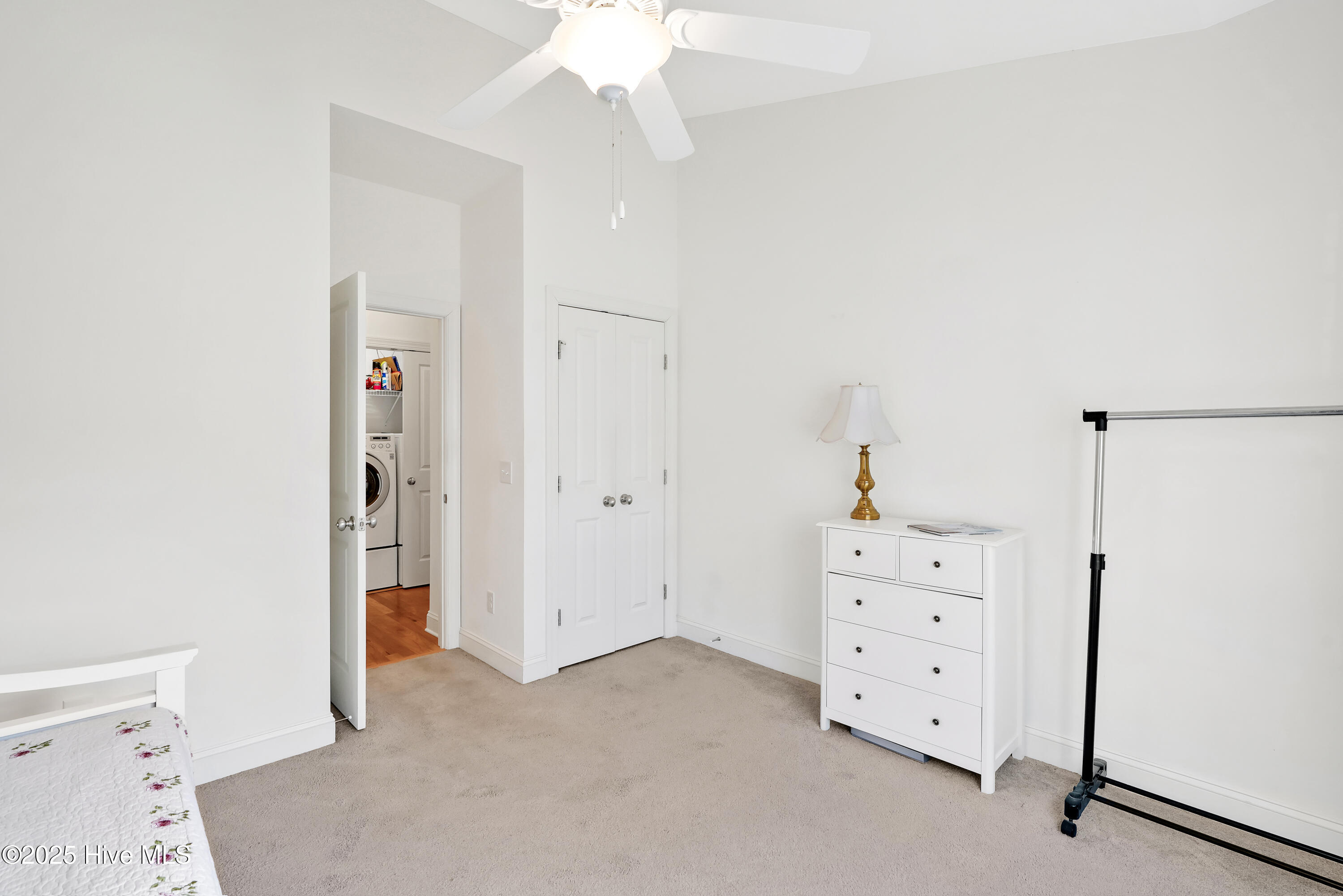 100564897 | Photo 19