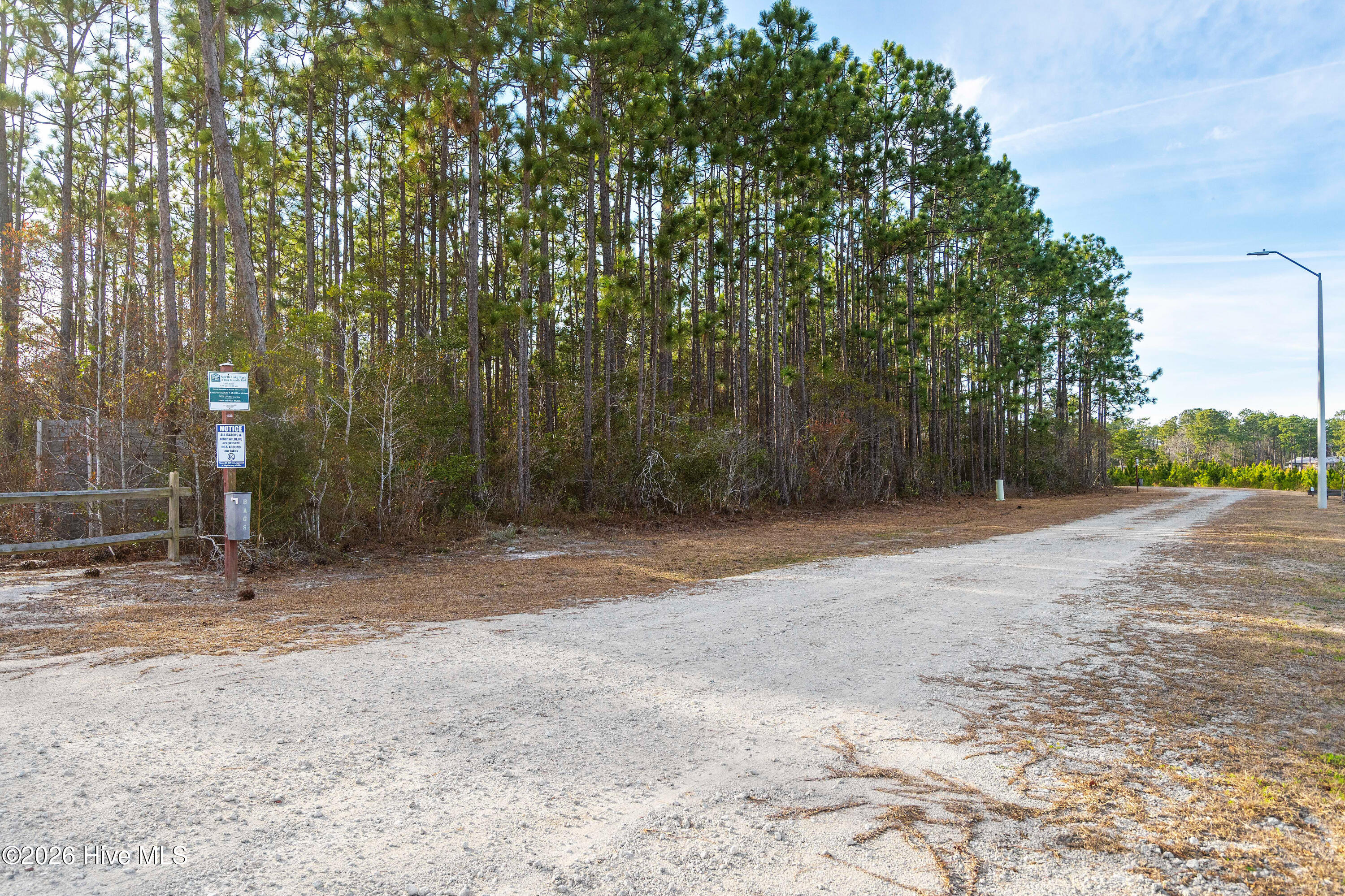 100569196 | Photo 80