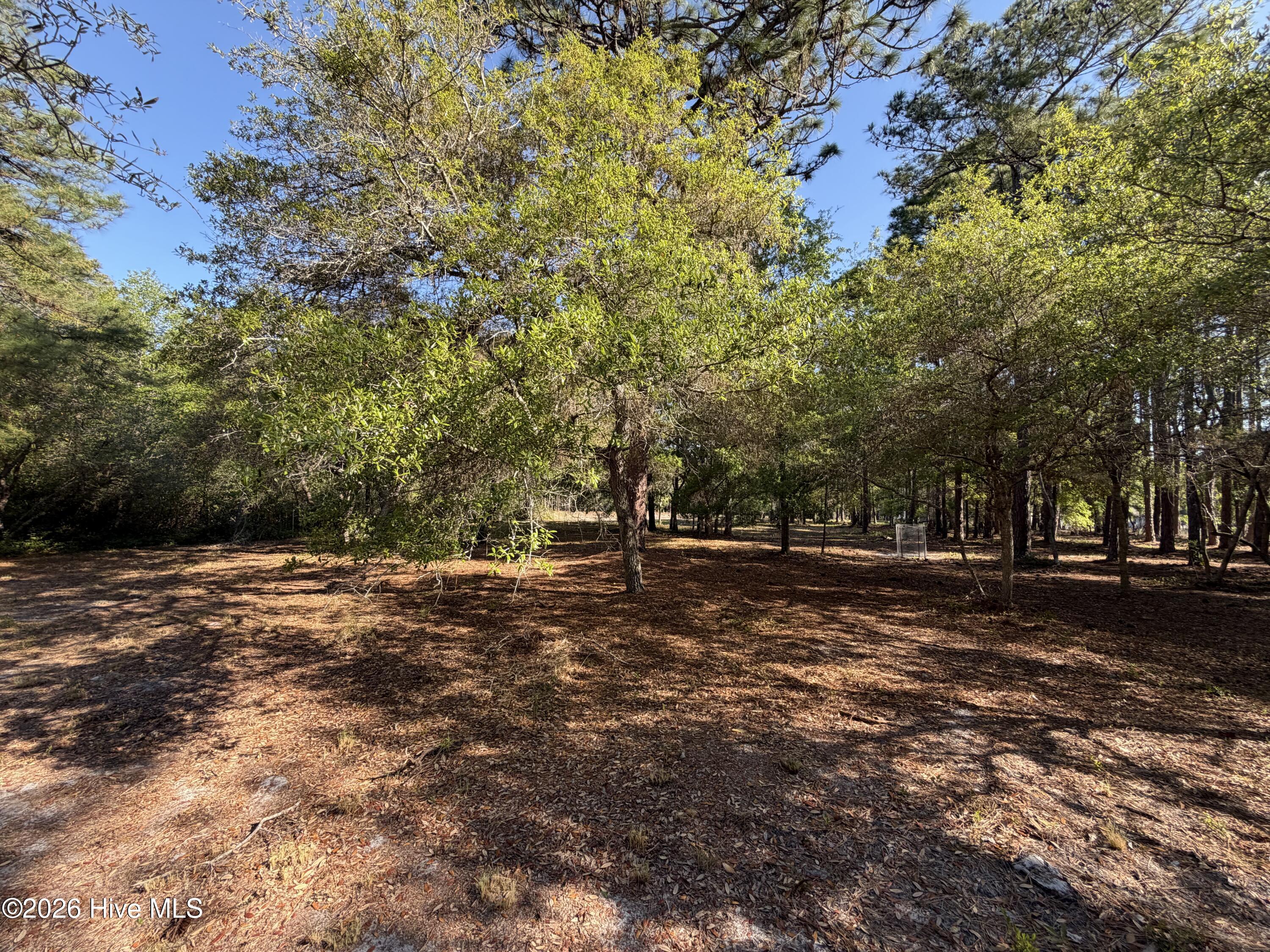 100569974 | Photo 23