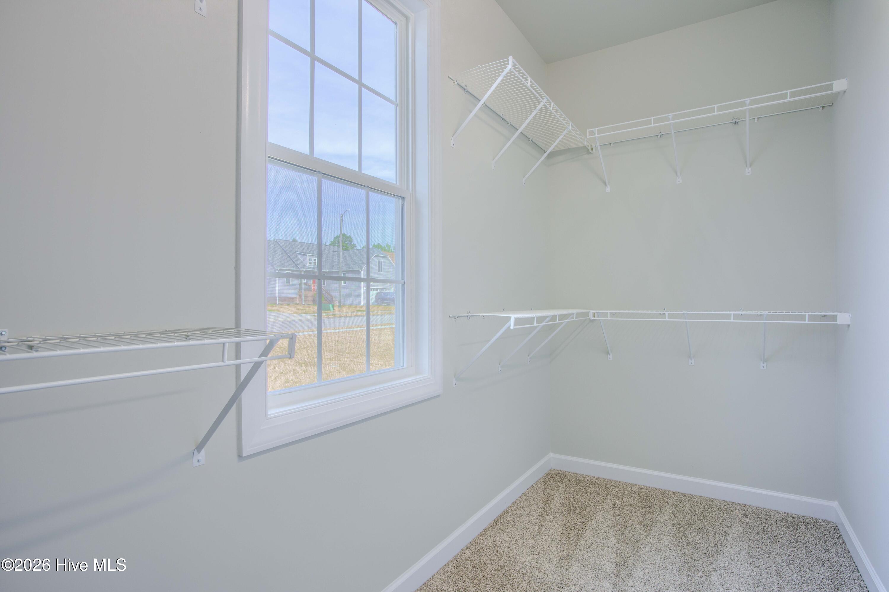 100526868 | Photo 18