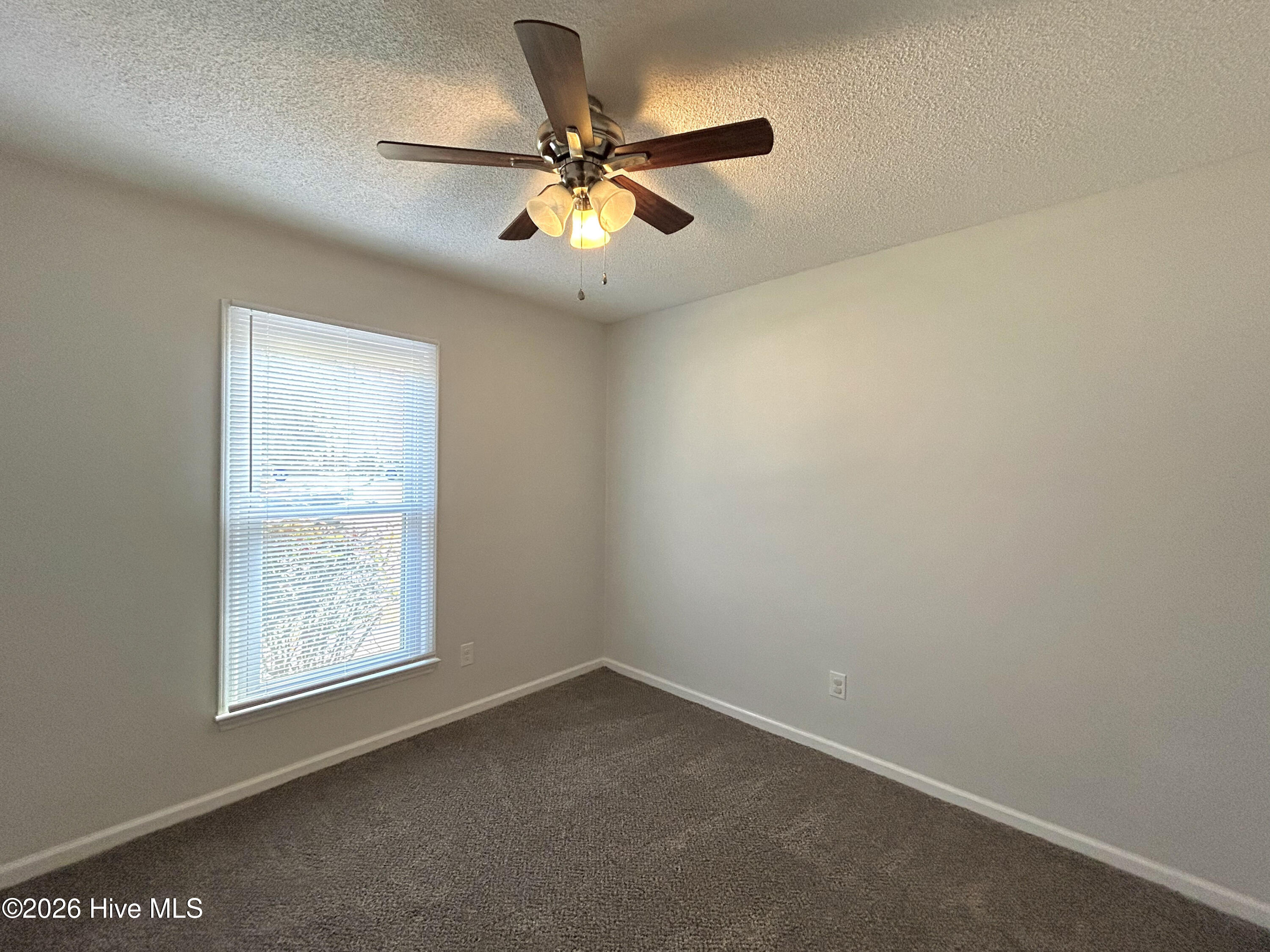 100563583 | Photo 25