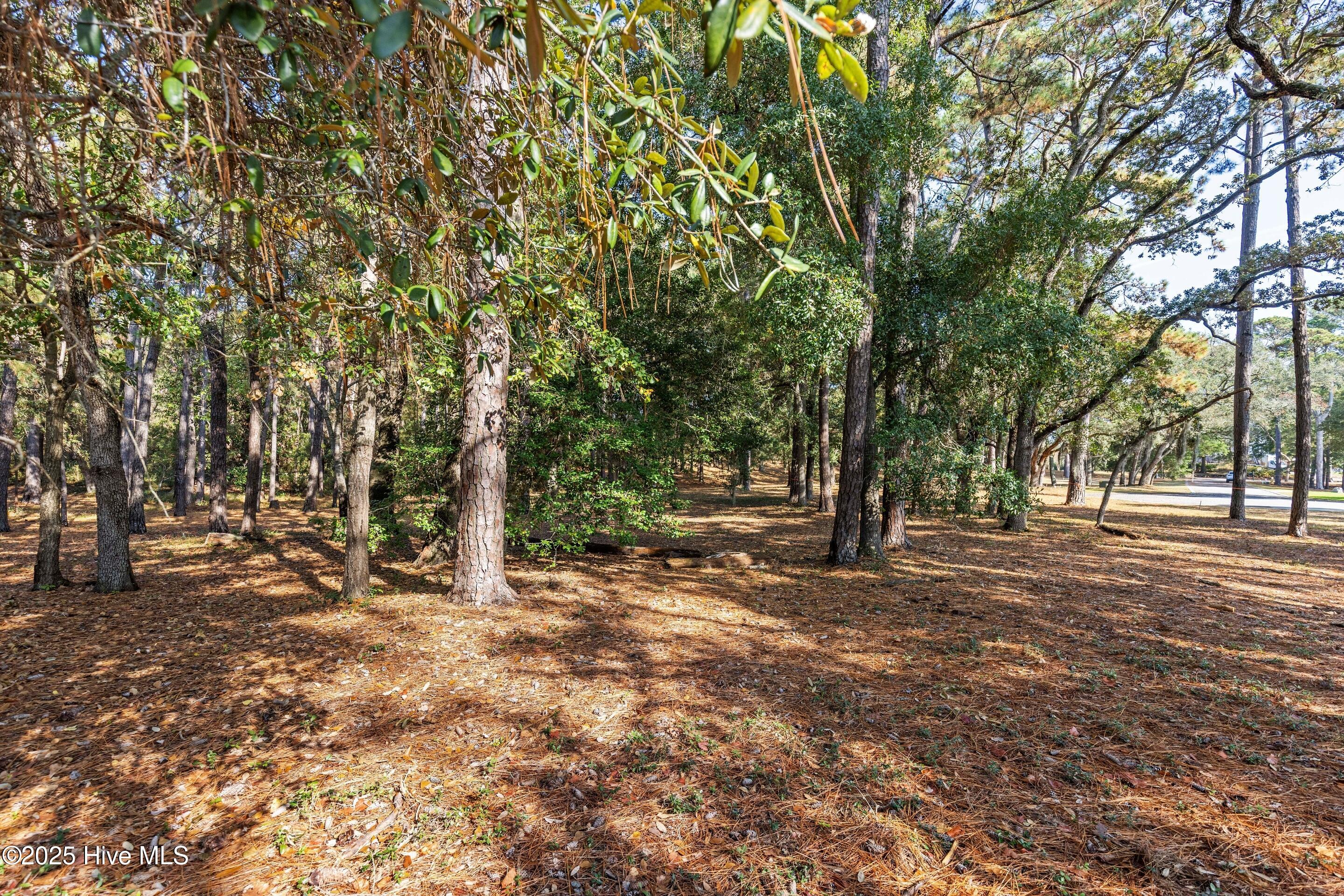 100543238 | Photo 12