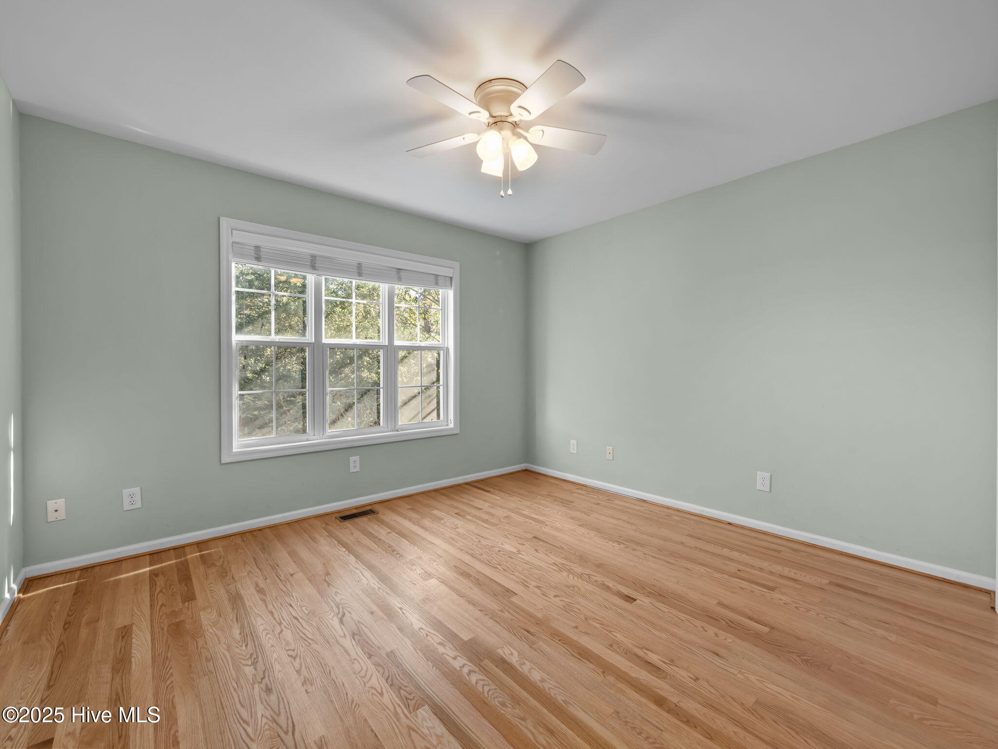 100540232 | Photo 27