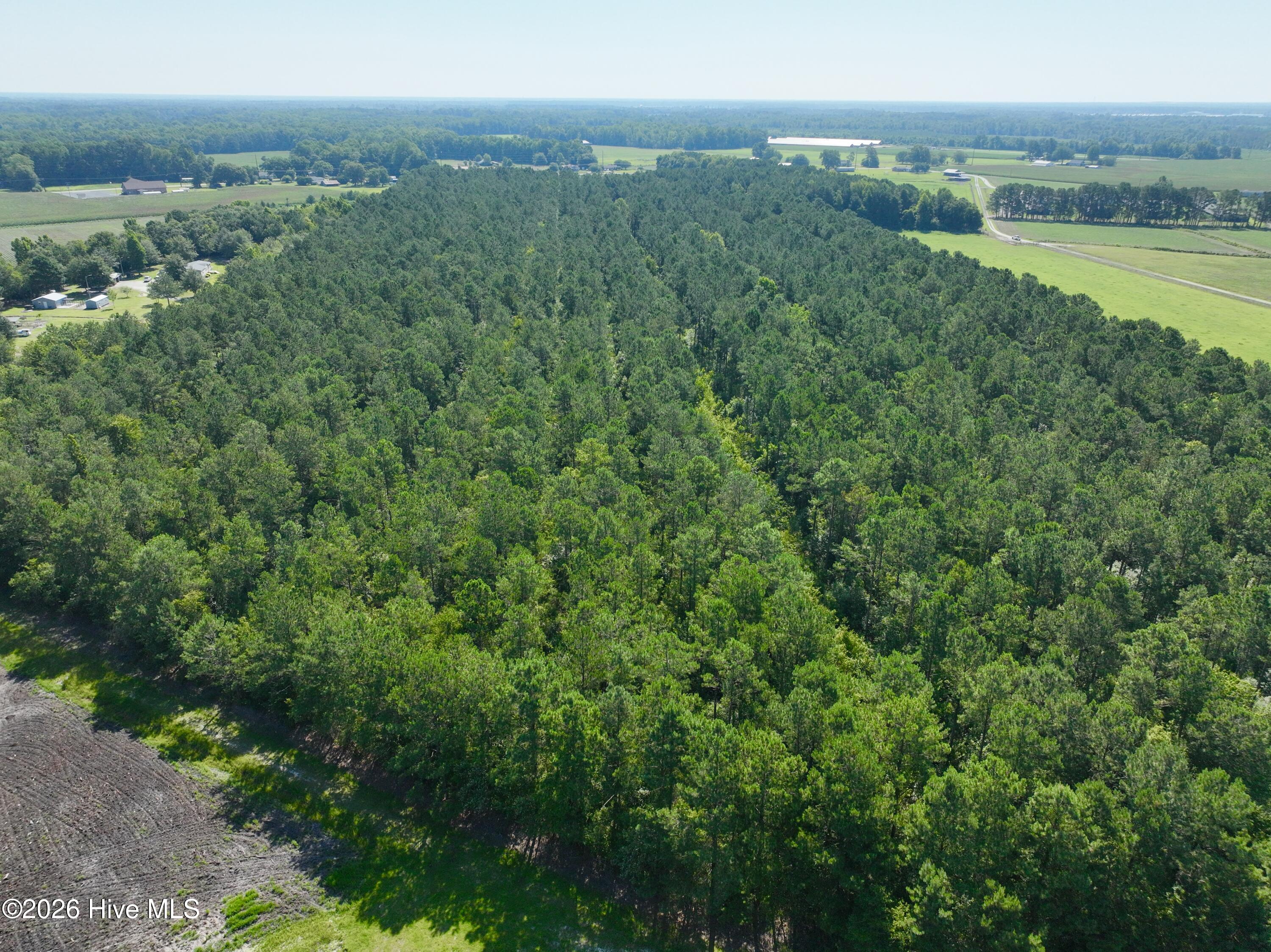 0 Cedar Fork Road,Beulaville