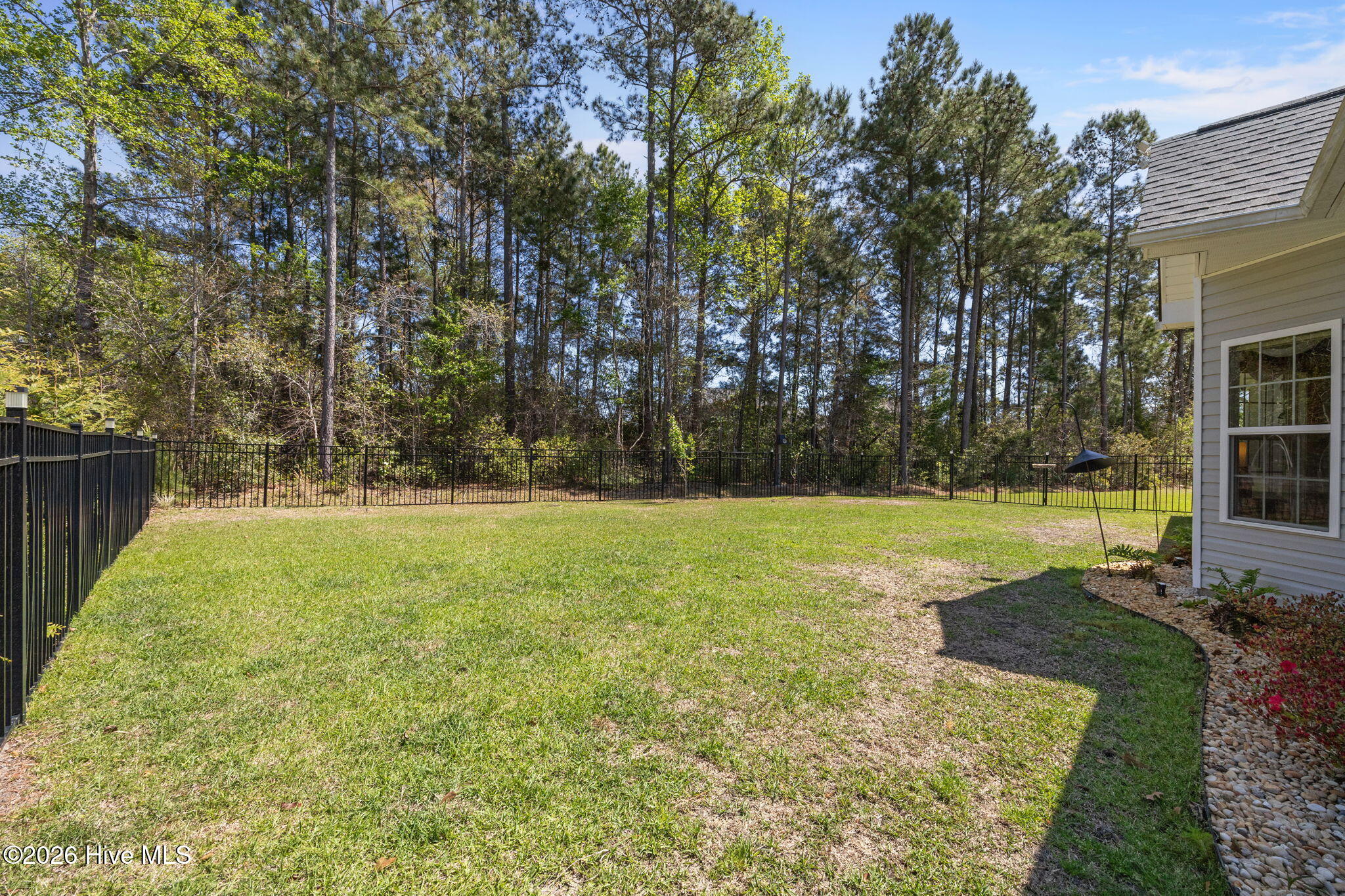 100563665 | Photo 43