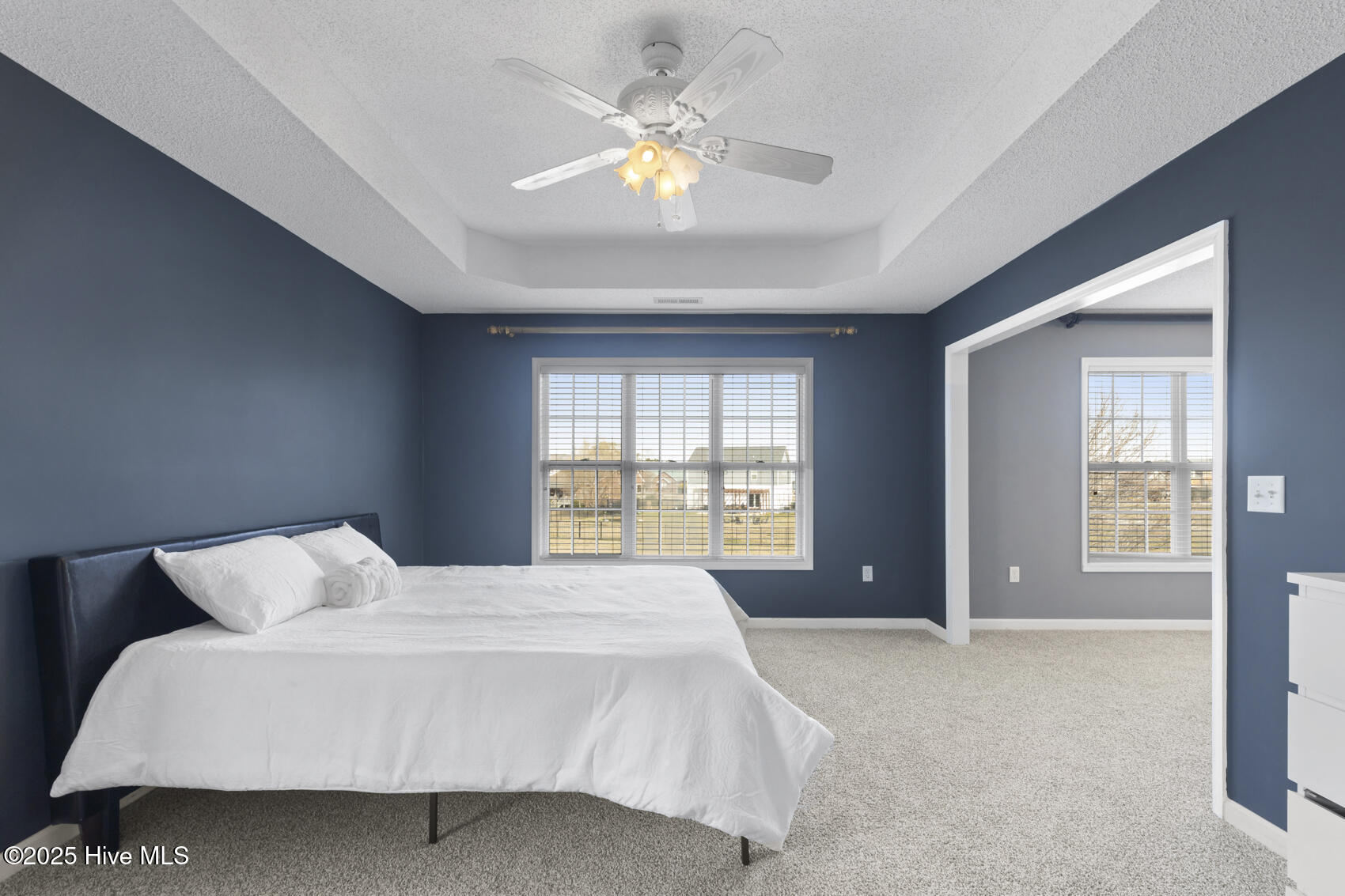 100490996 | Photo 25