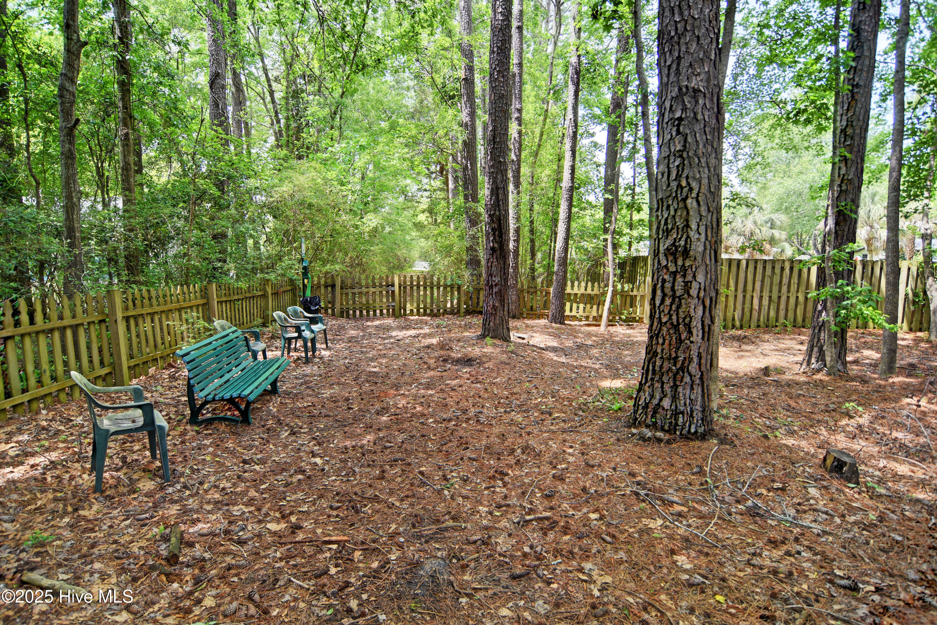 100557867 | Photo 31