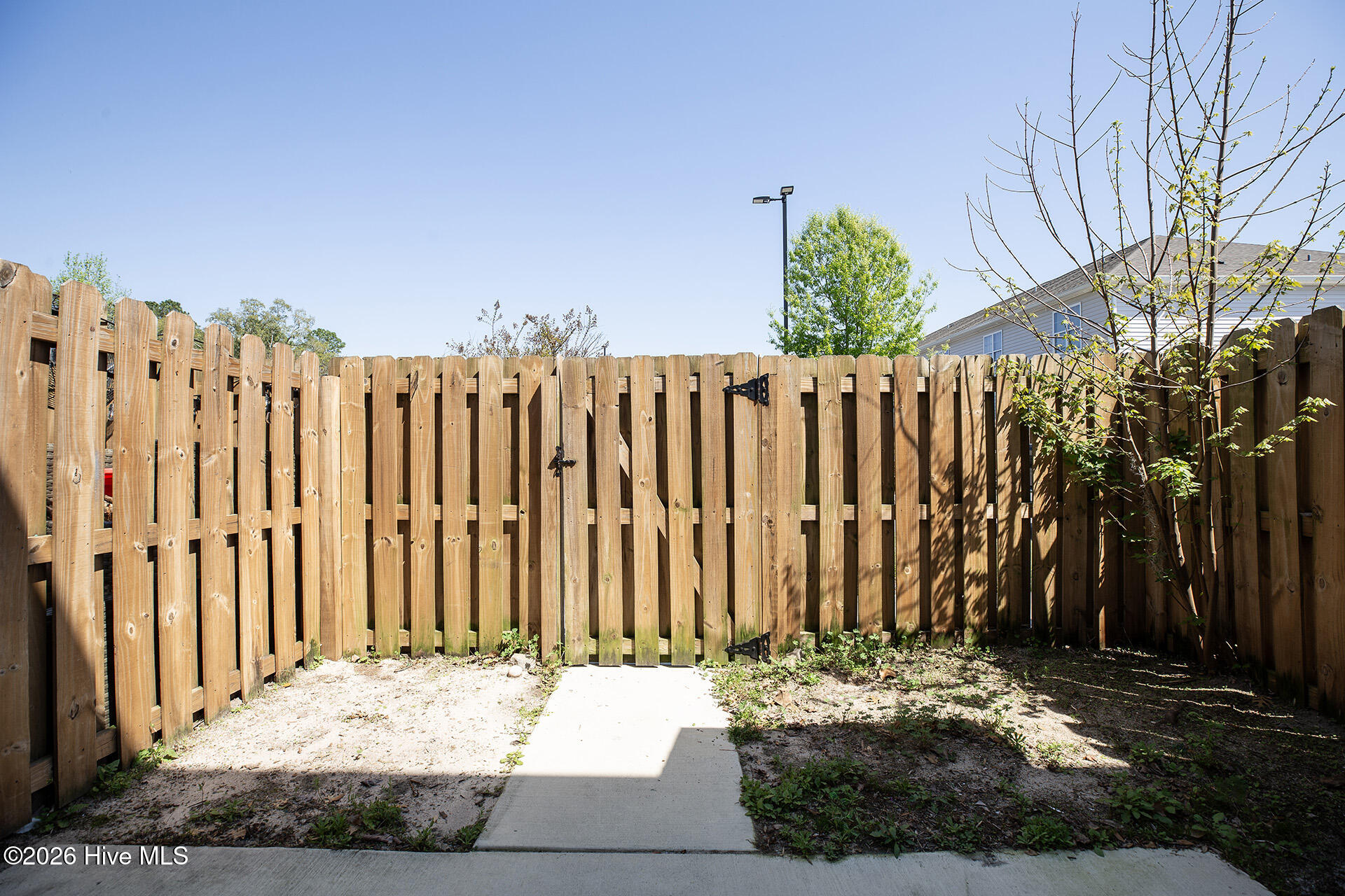 100562810 | Photo 35