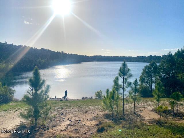 100566156 | Photo 41