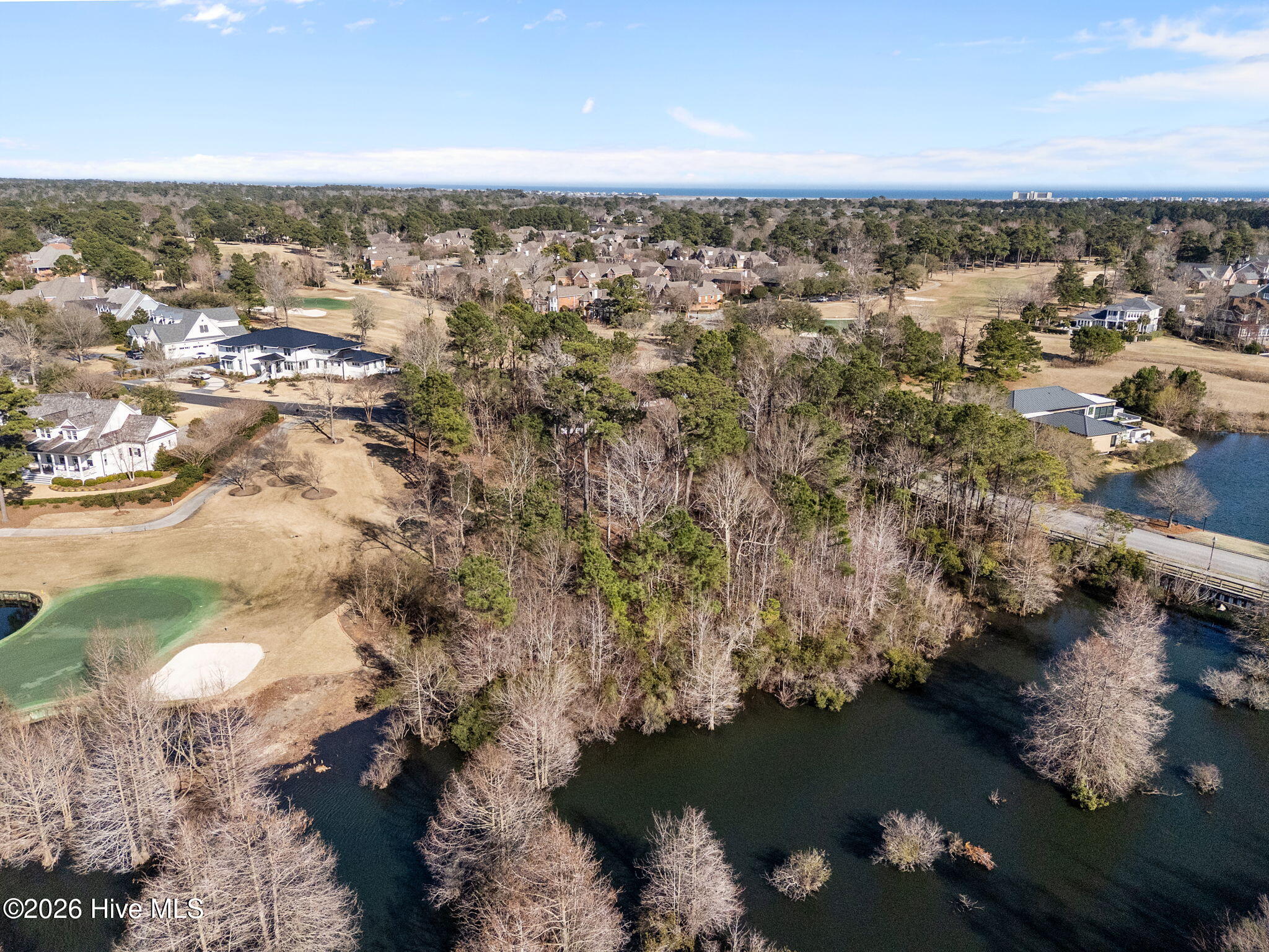 100559431 | Photo 12