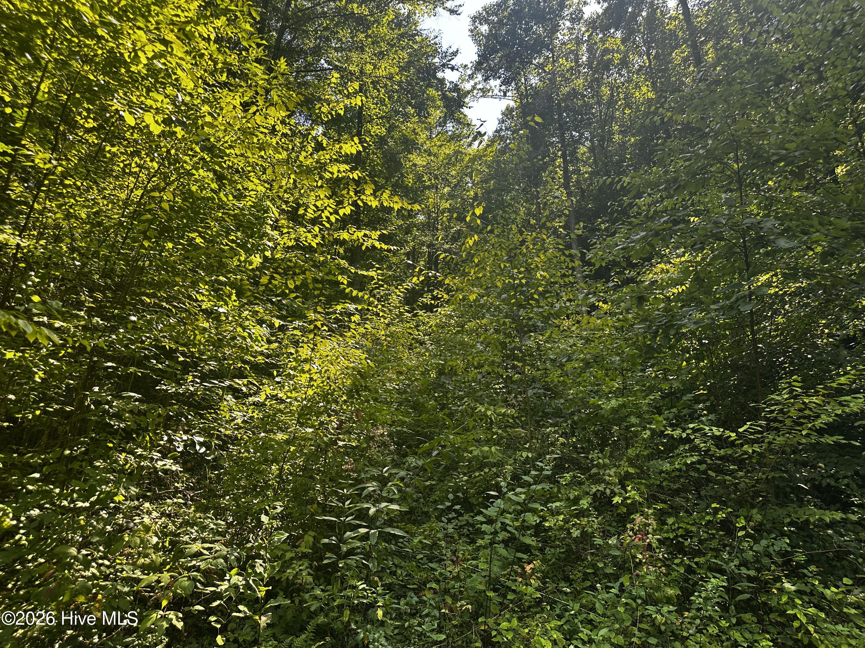 5th image of 2710 Junaluska Rd, Andrews, NC 28901 | MLS# 100598764
