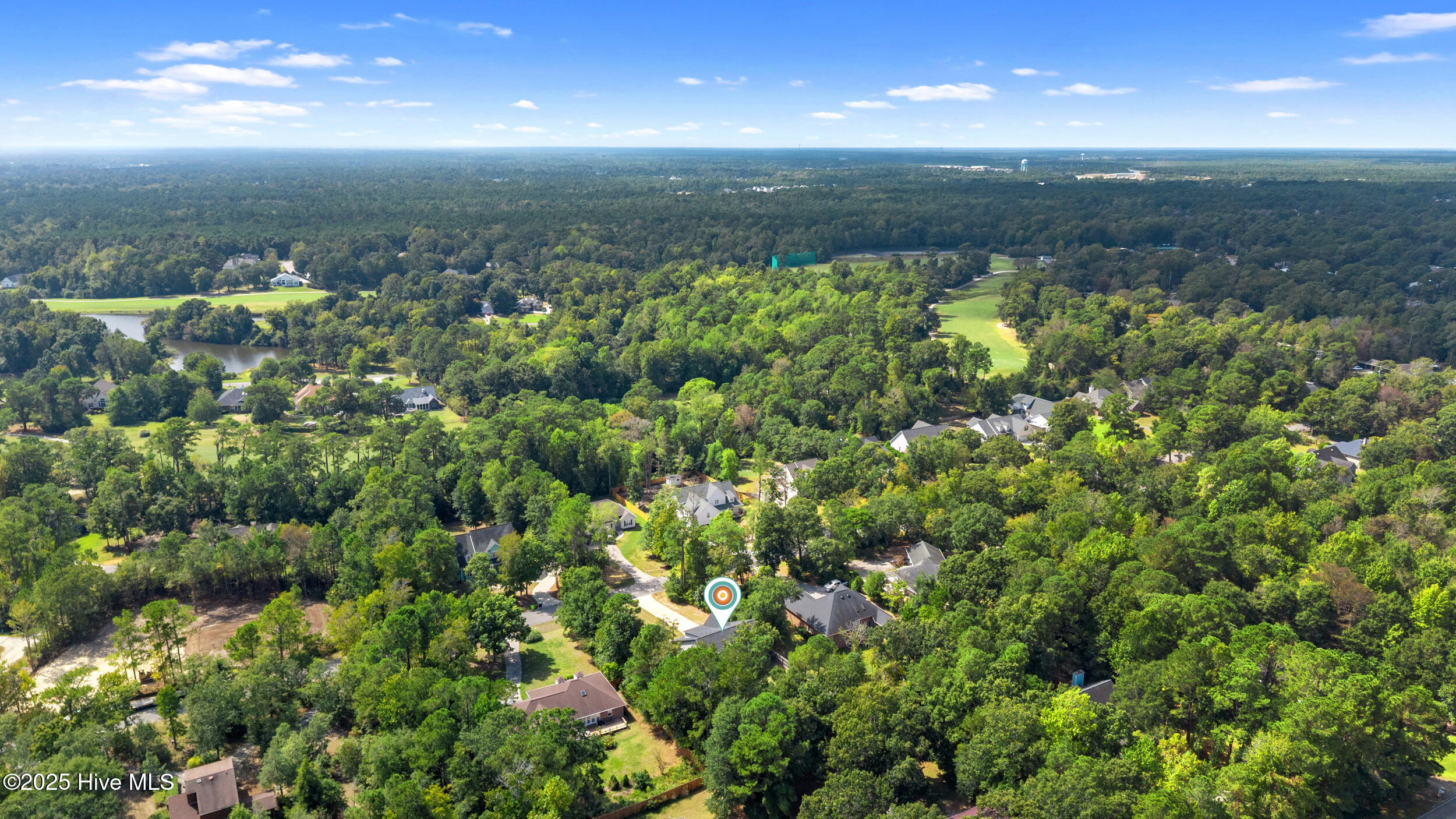 100533307 | Photo 50