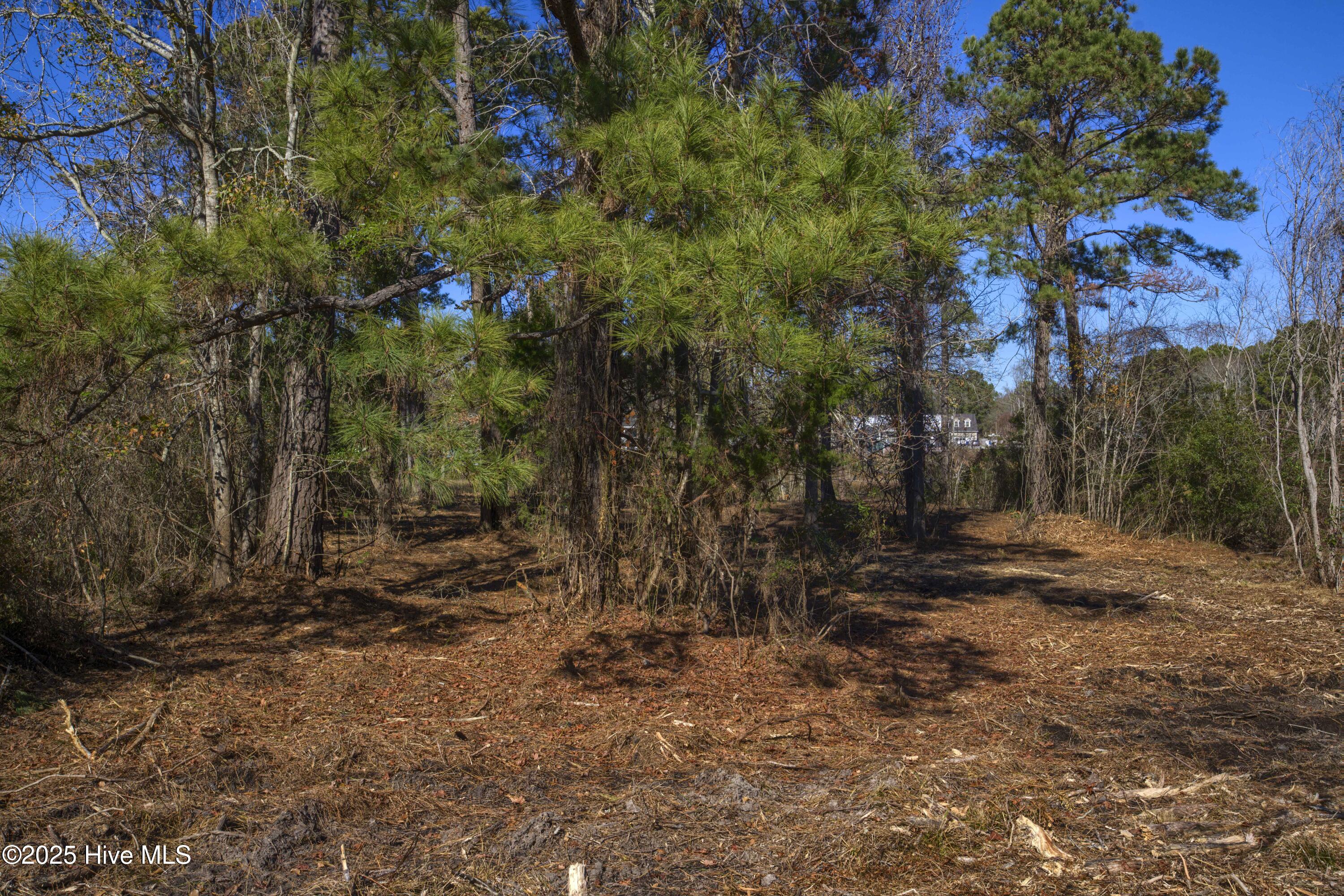 100559086 | Photo 44