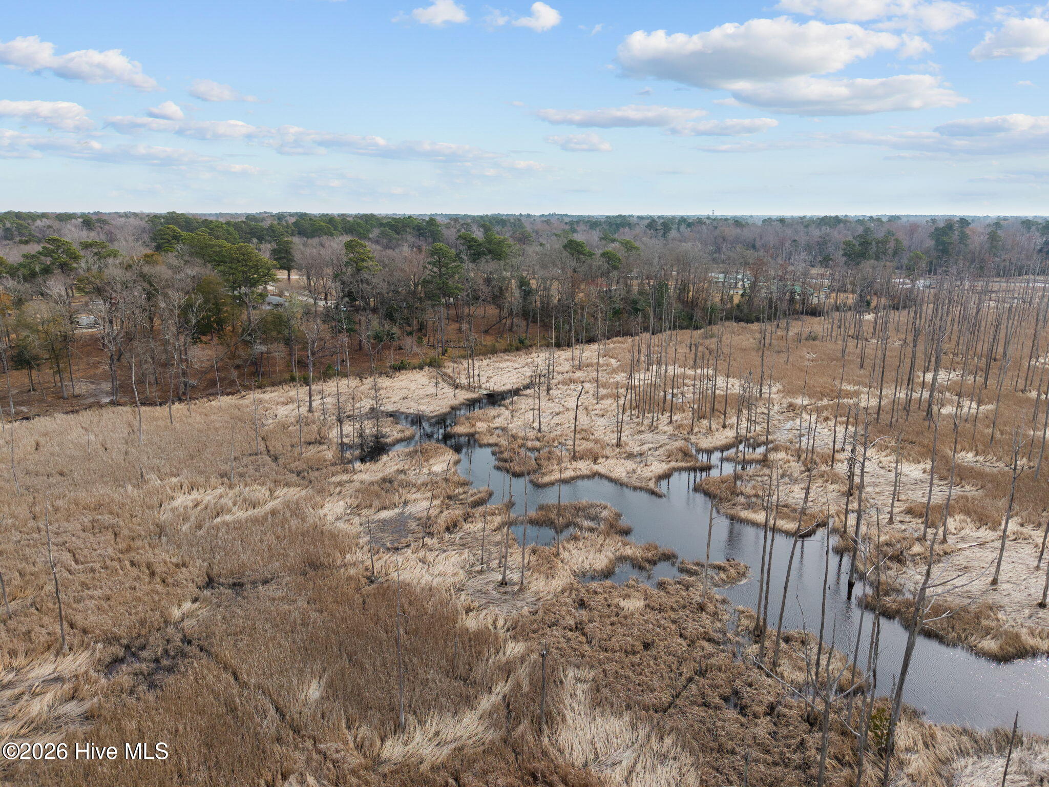 100557374 | Photo 10