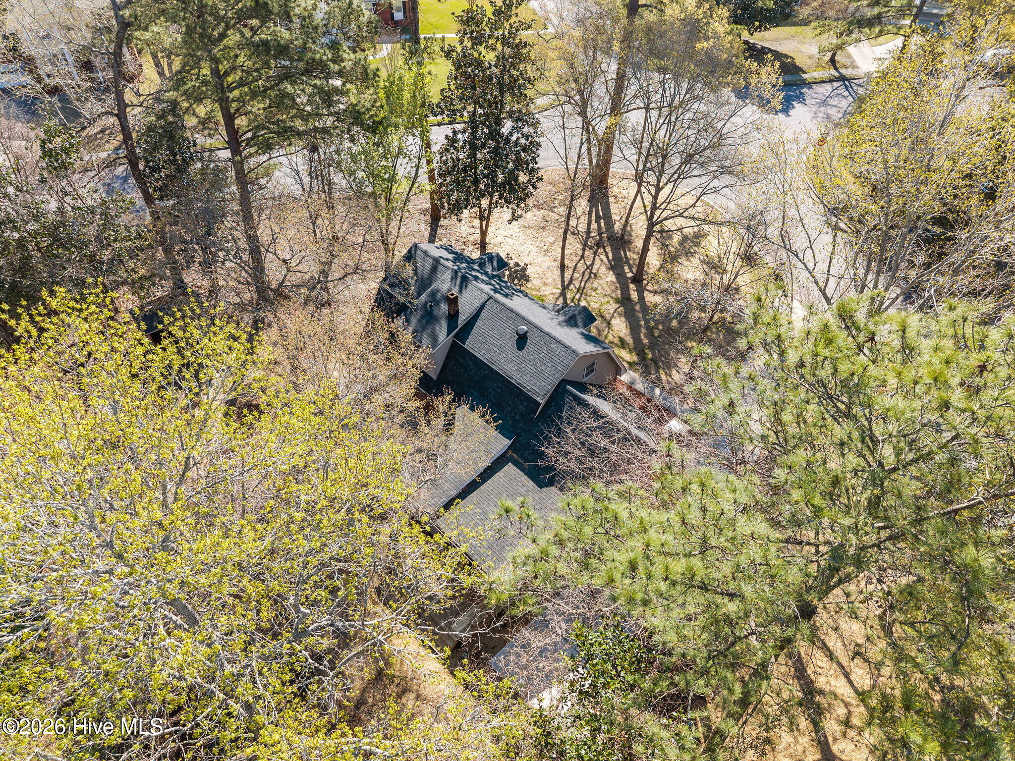 100561705 | Photo 50