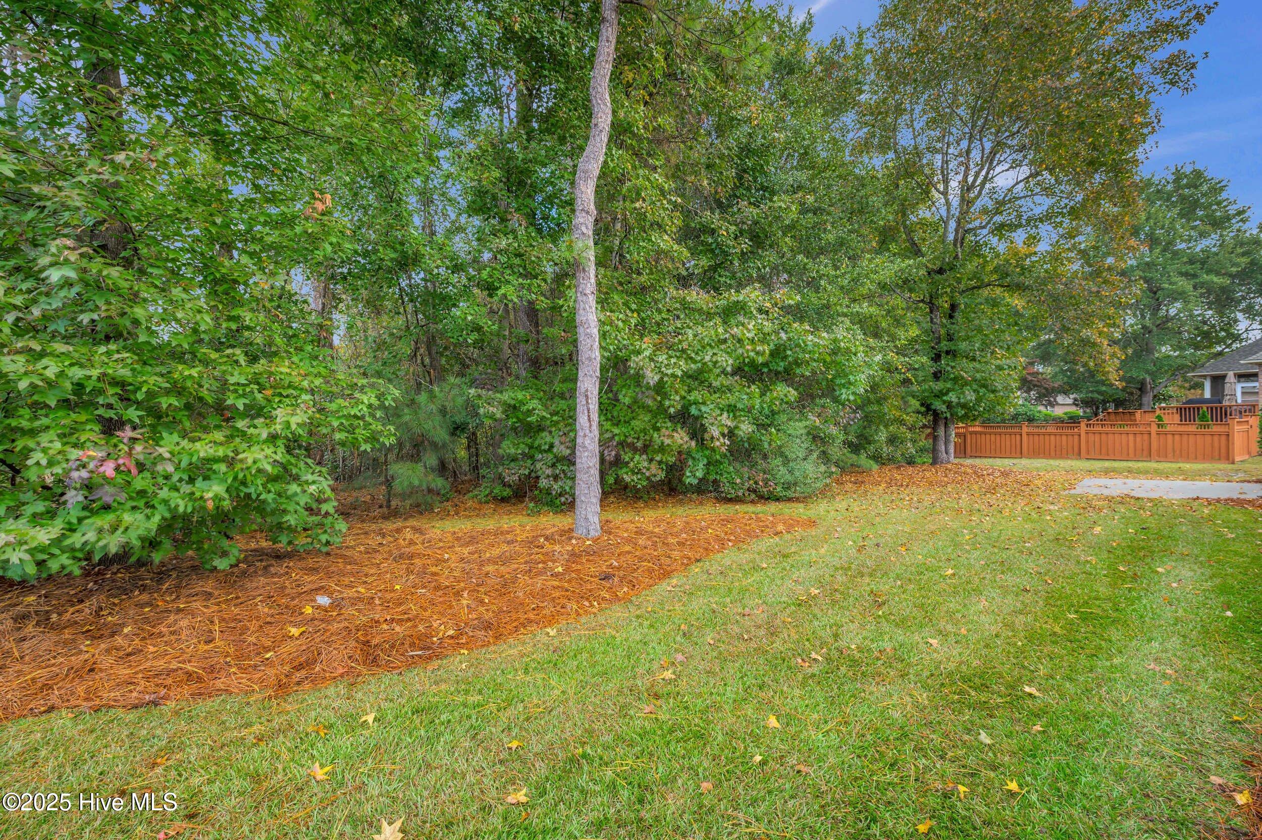 100539518 | Photo 48