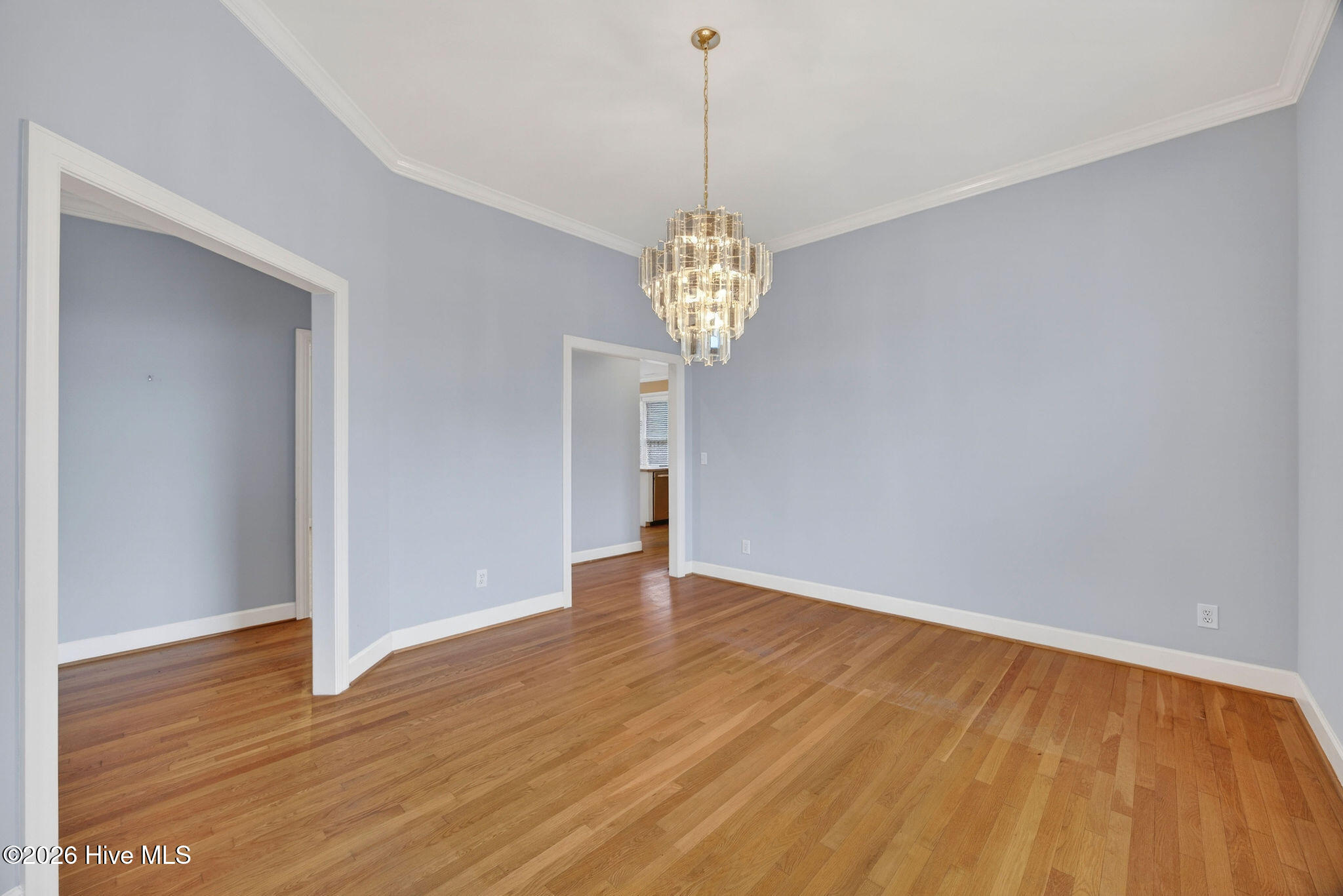 100551519 | Photo 10