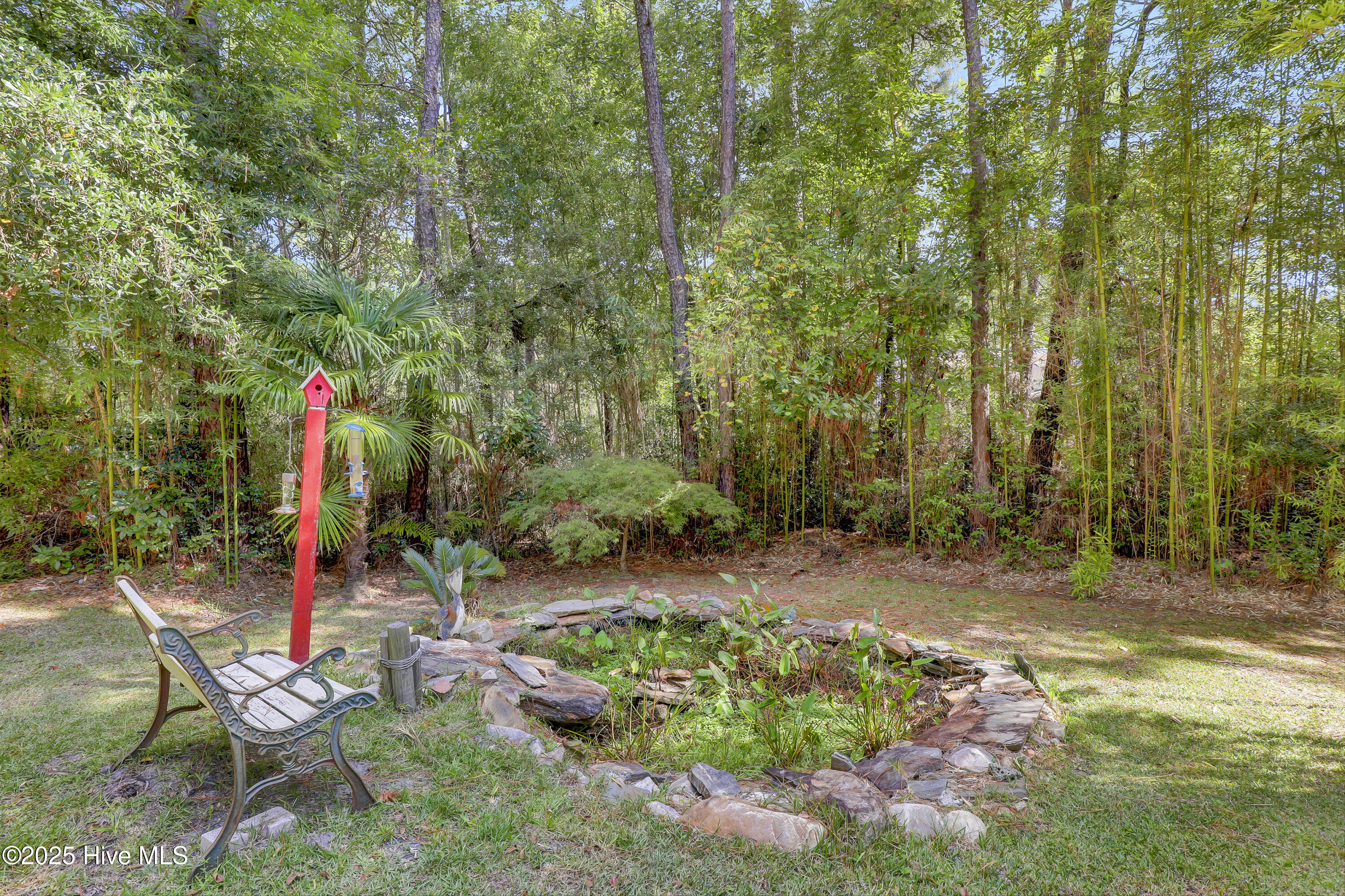 100532986 | Photo 41