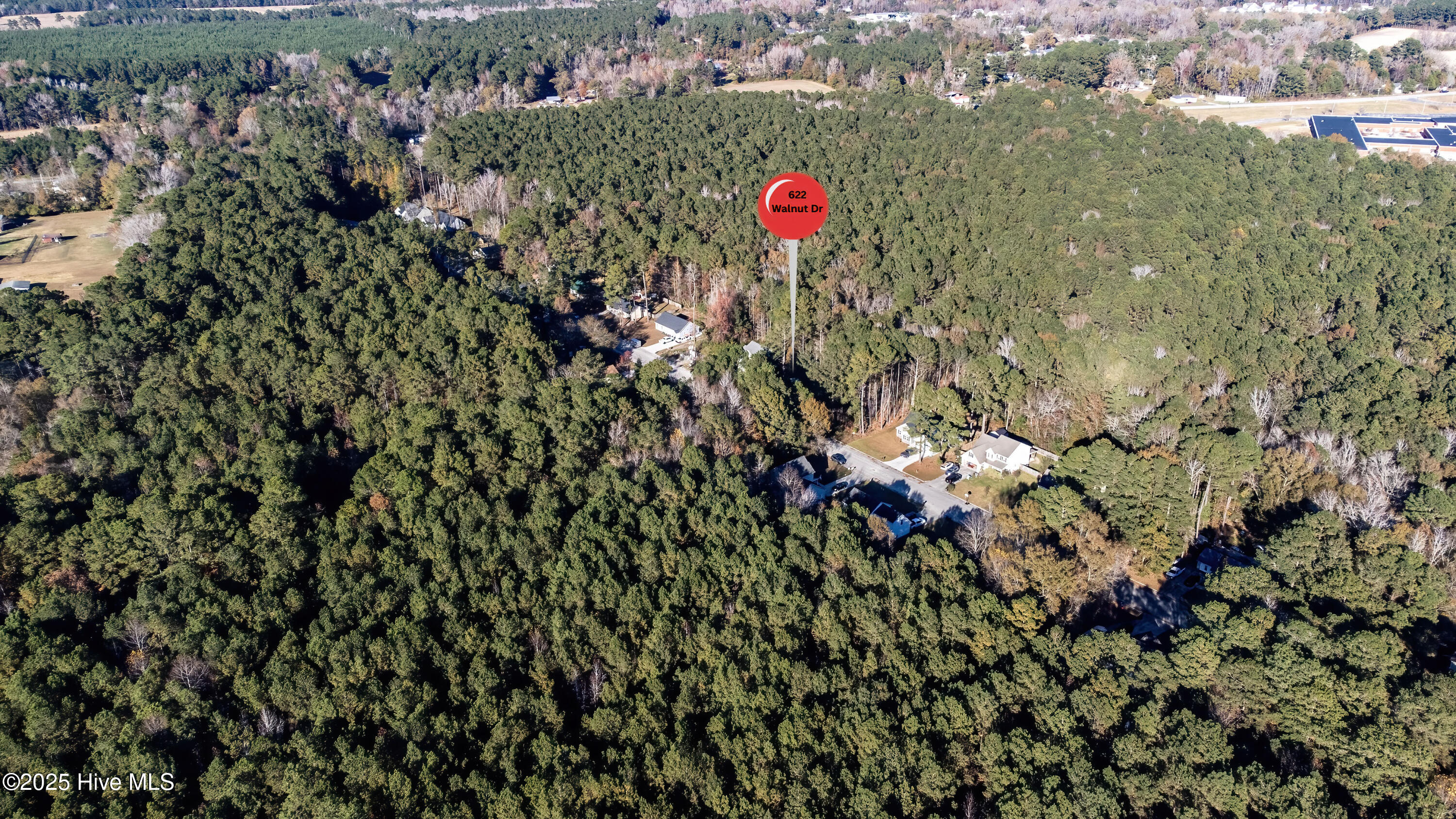 100538278 | Photo 56