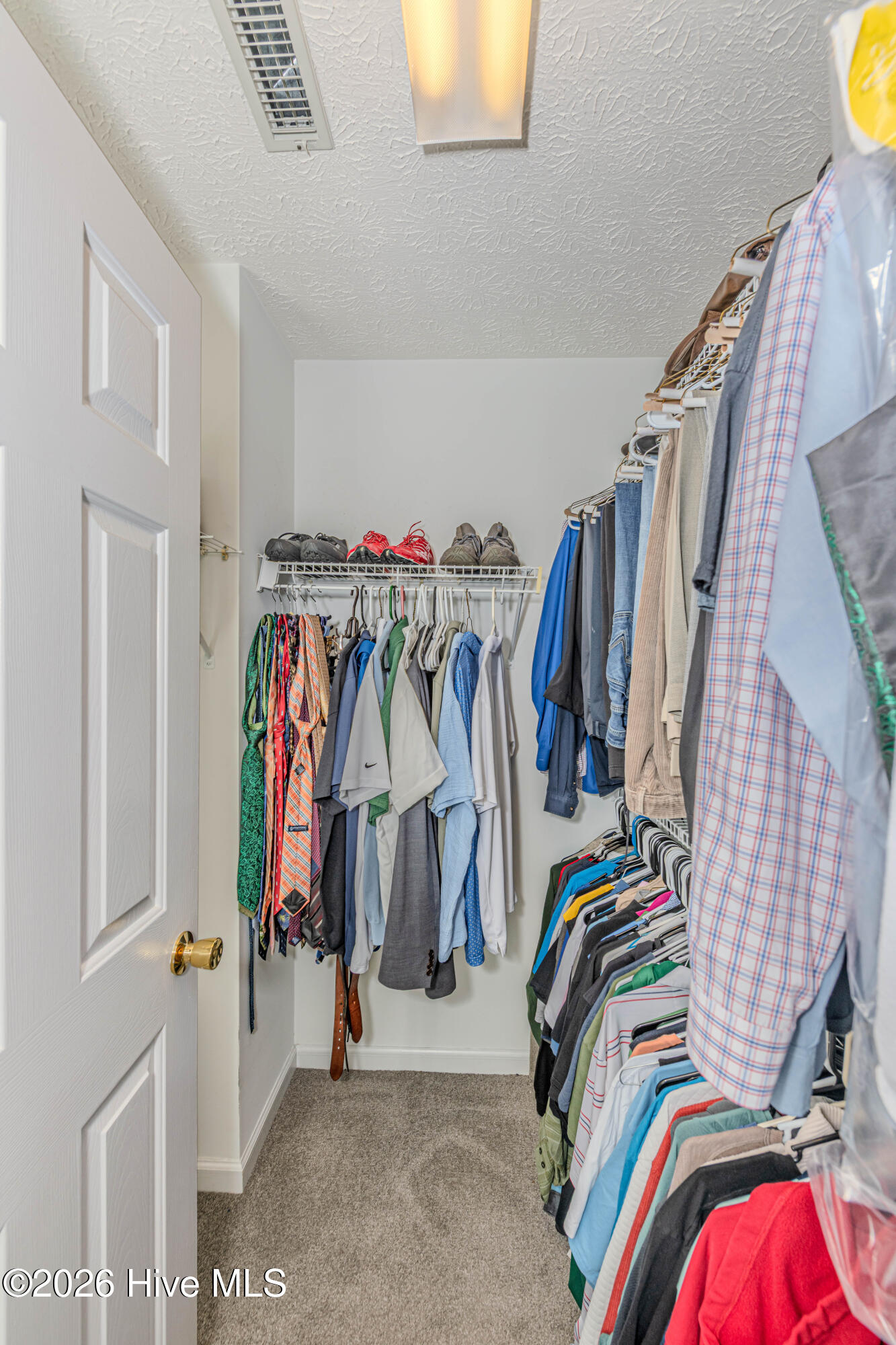 100569182 | Photo 31