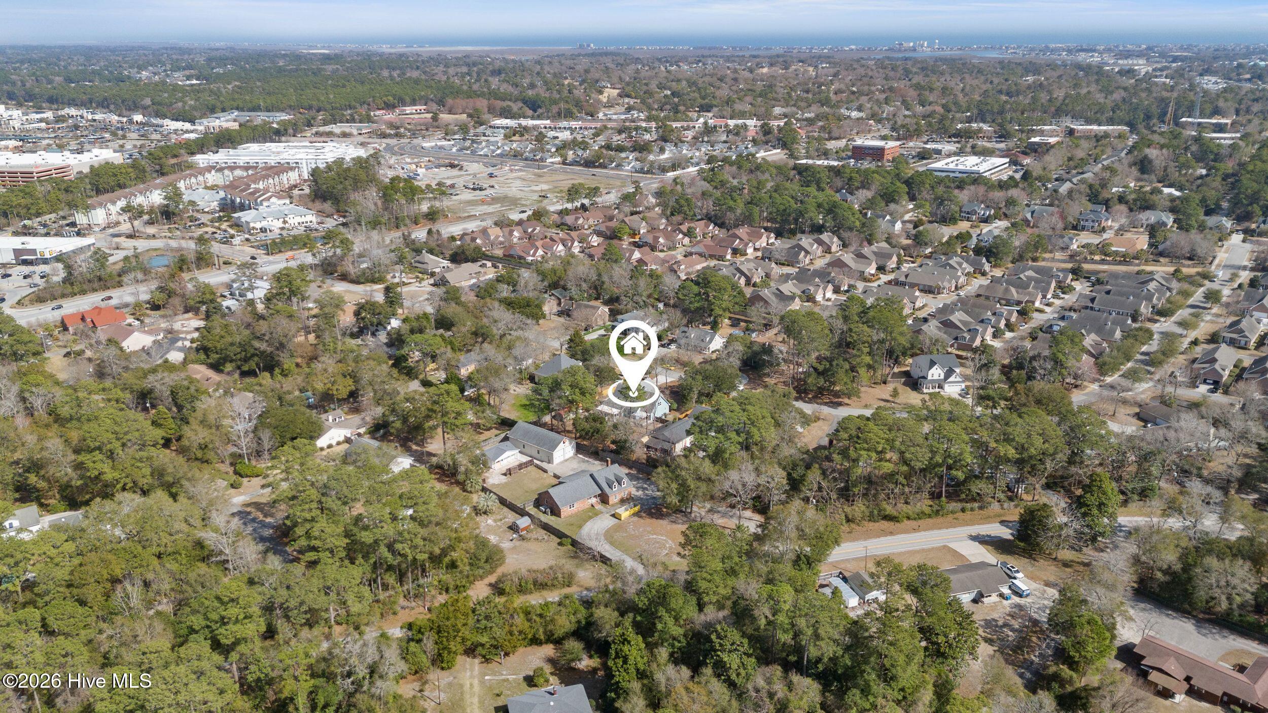 100558264 | Photo 61