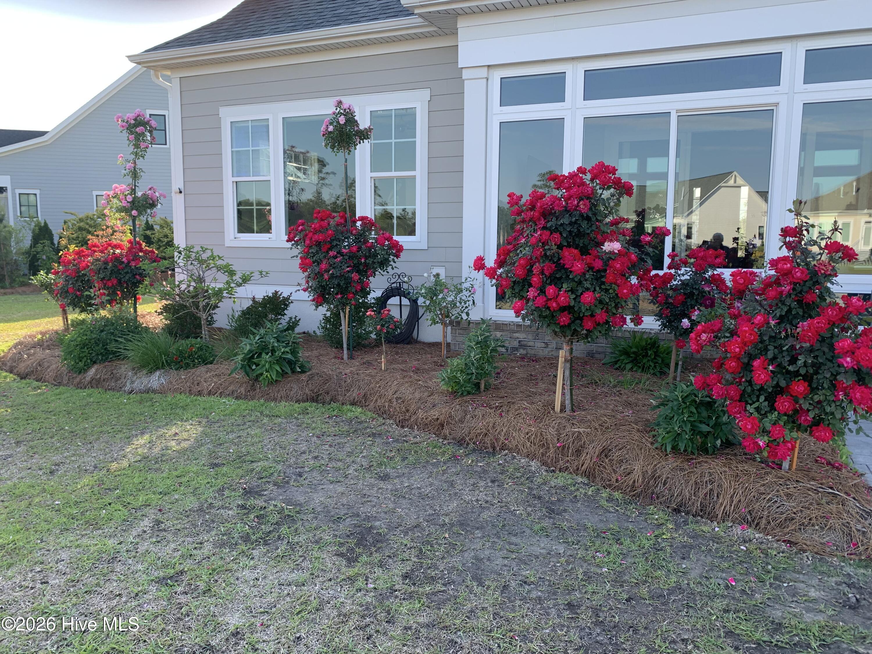 100560288 | Photo 83