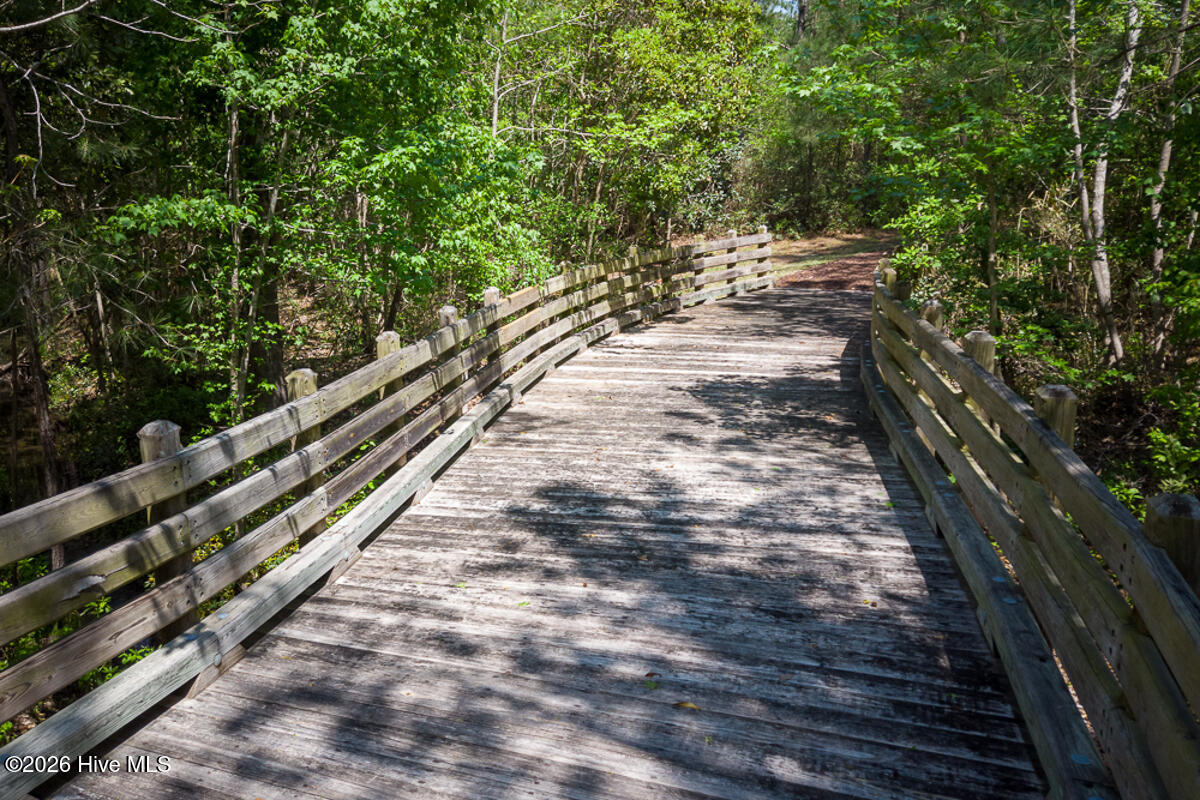 100564727 | Photo 55