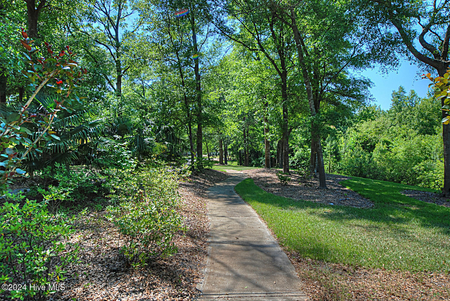 100476158 | Photo 12