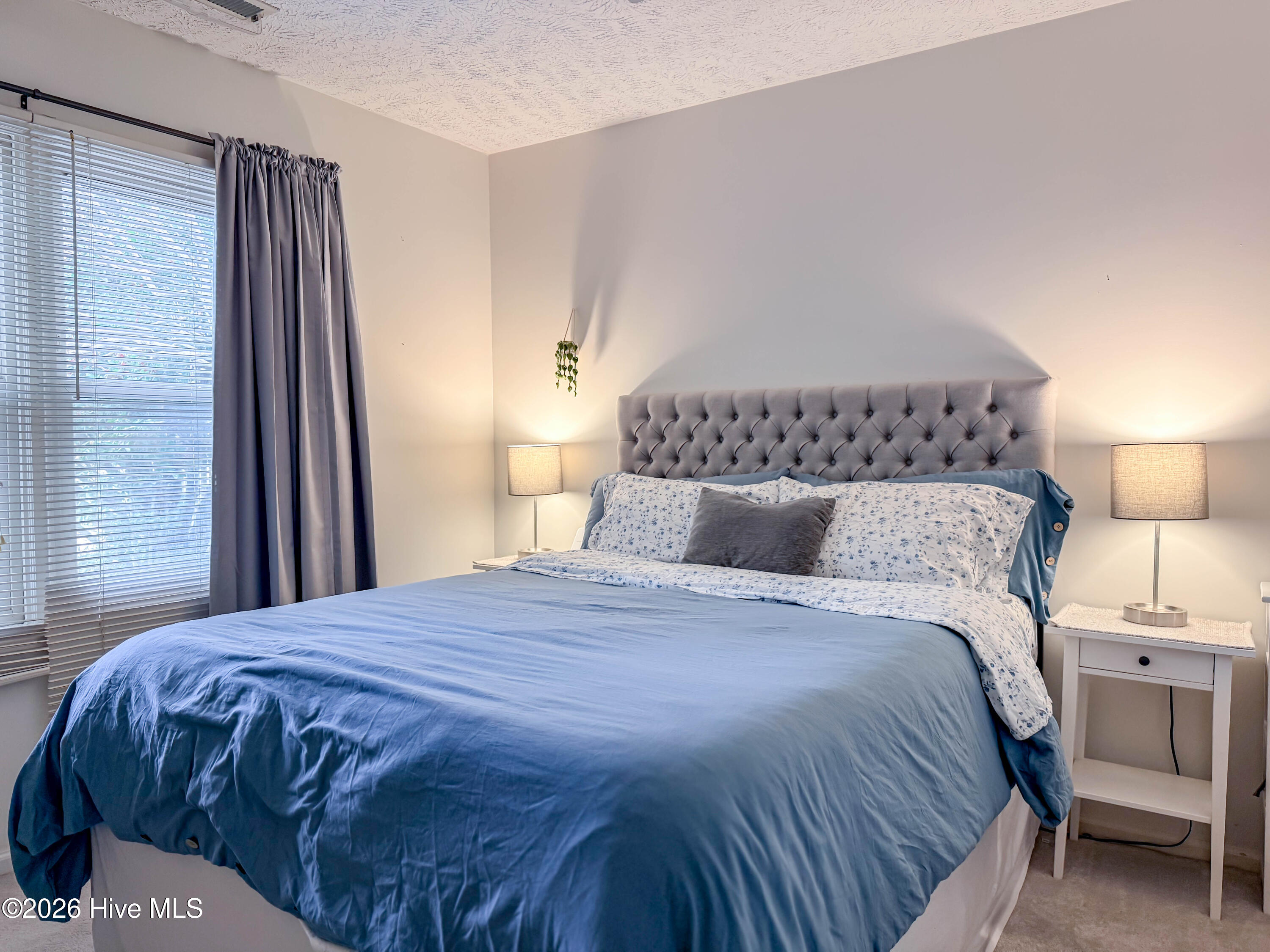 100556502 | Photo 21