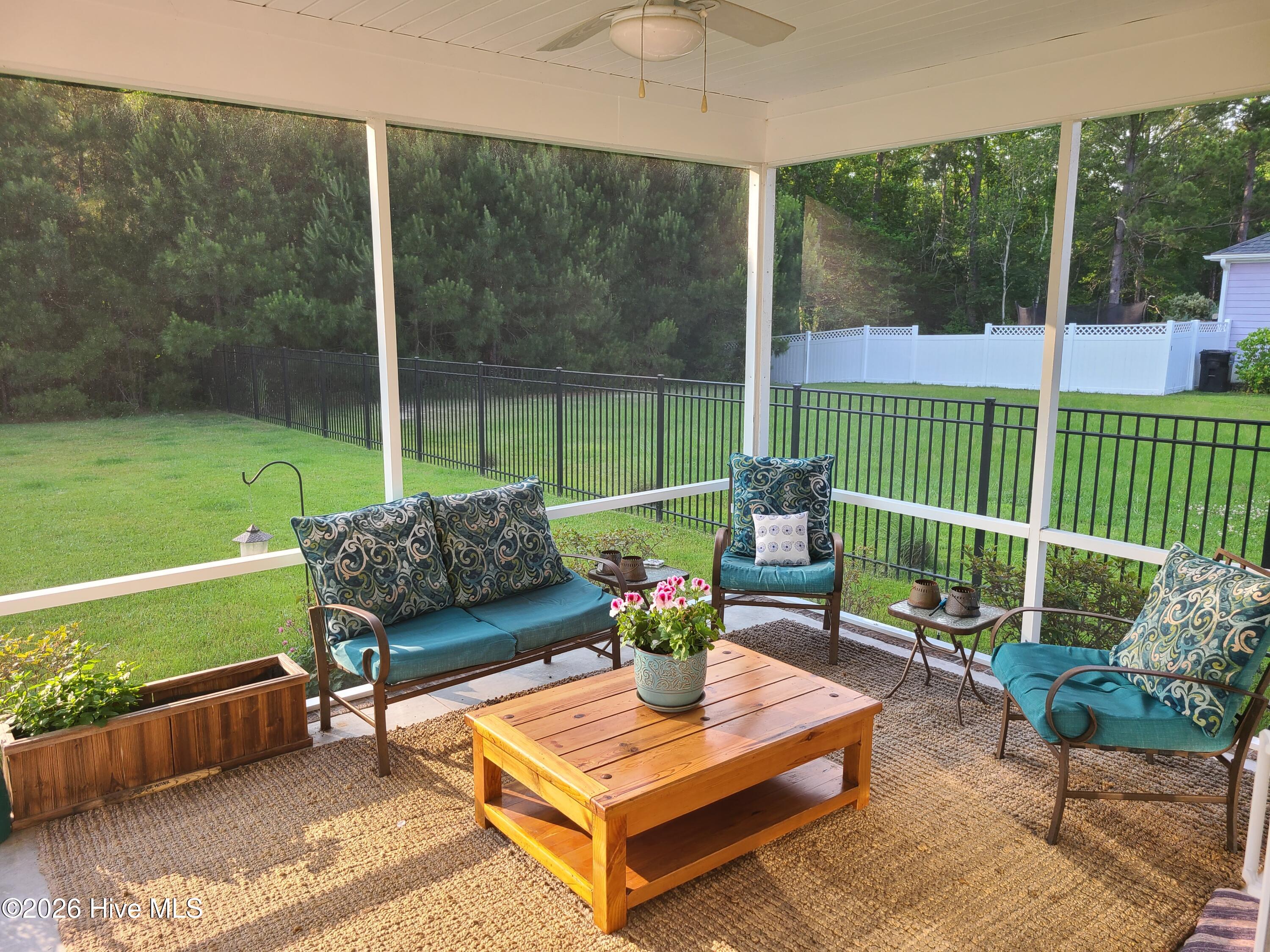 100555178 | Photo 25