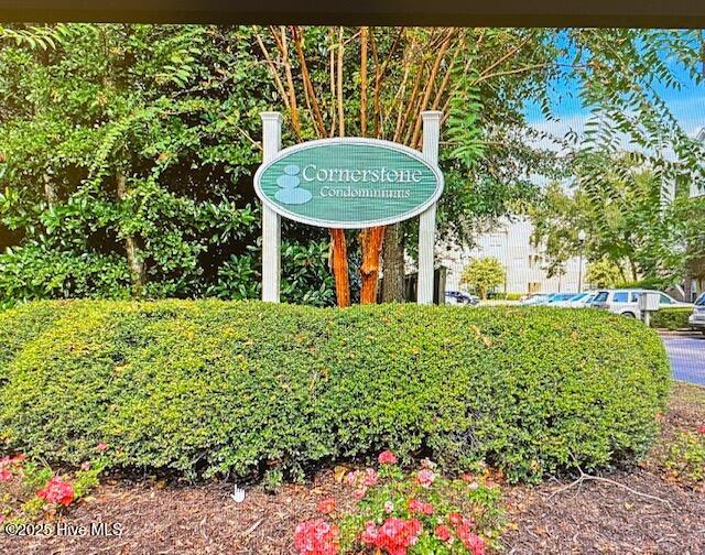 100501546 | Photo 24