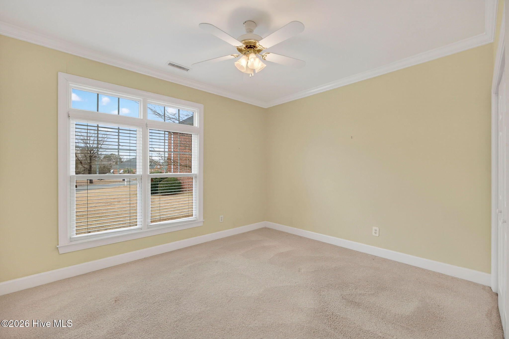 100551519 | Photo 34