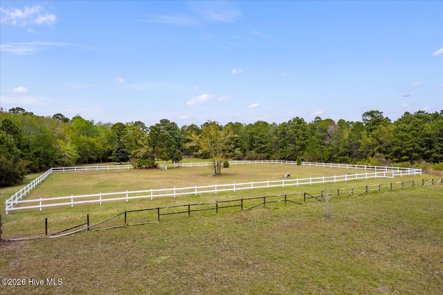 100566631 | Photo 19