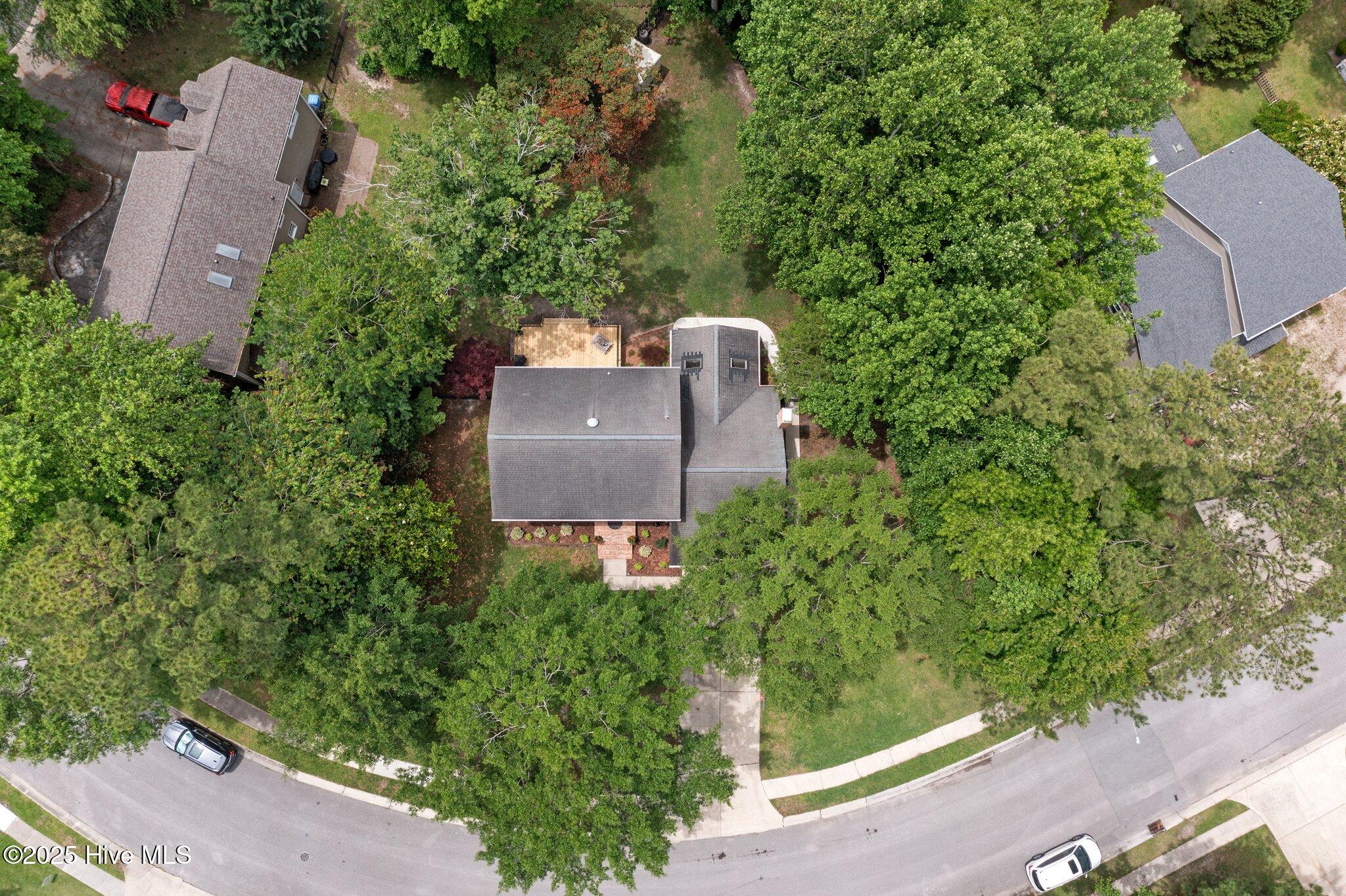 100569850 | Photo 20