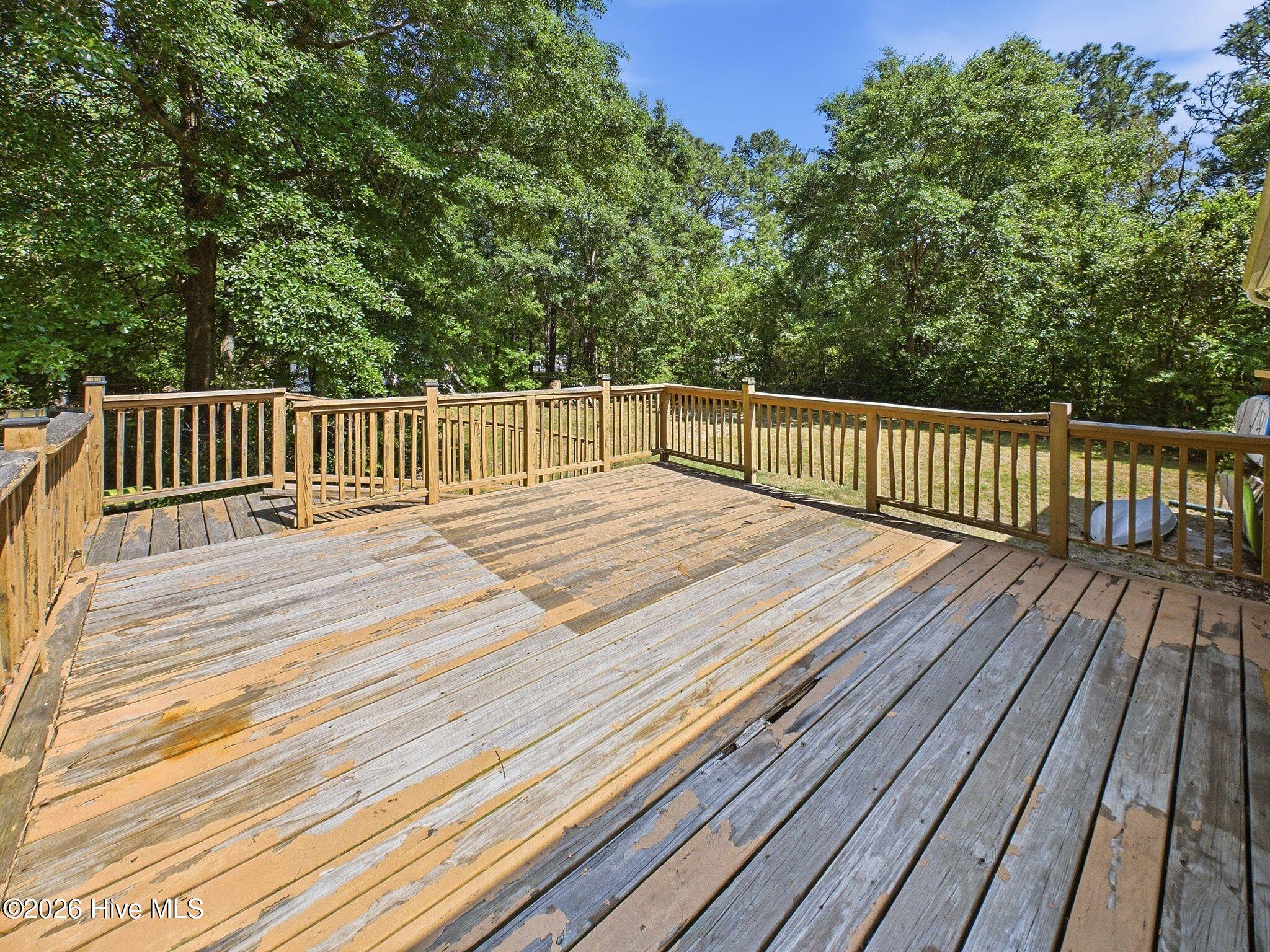 100569518 | Photo 47