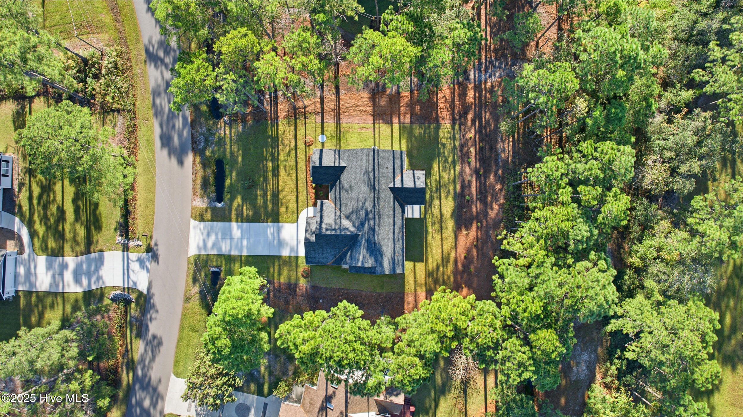 100504171 | Photo 23