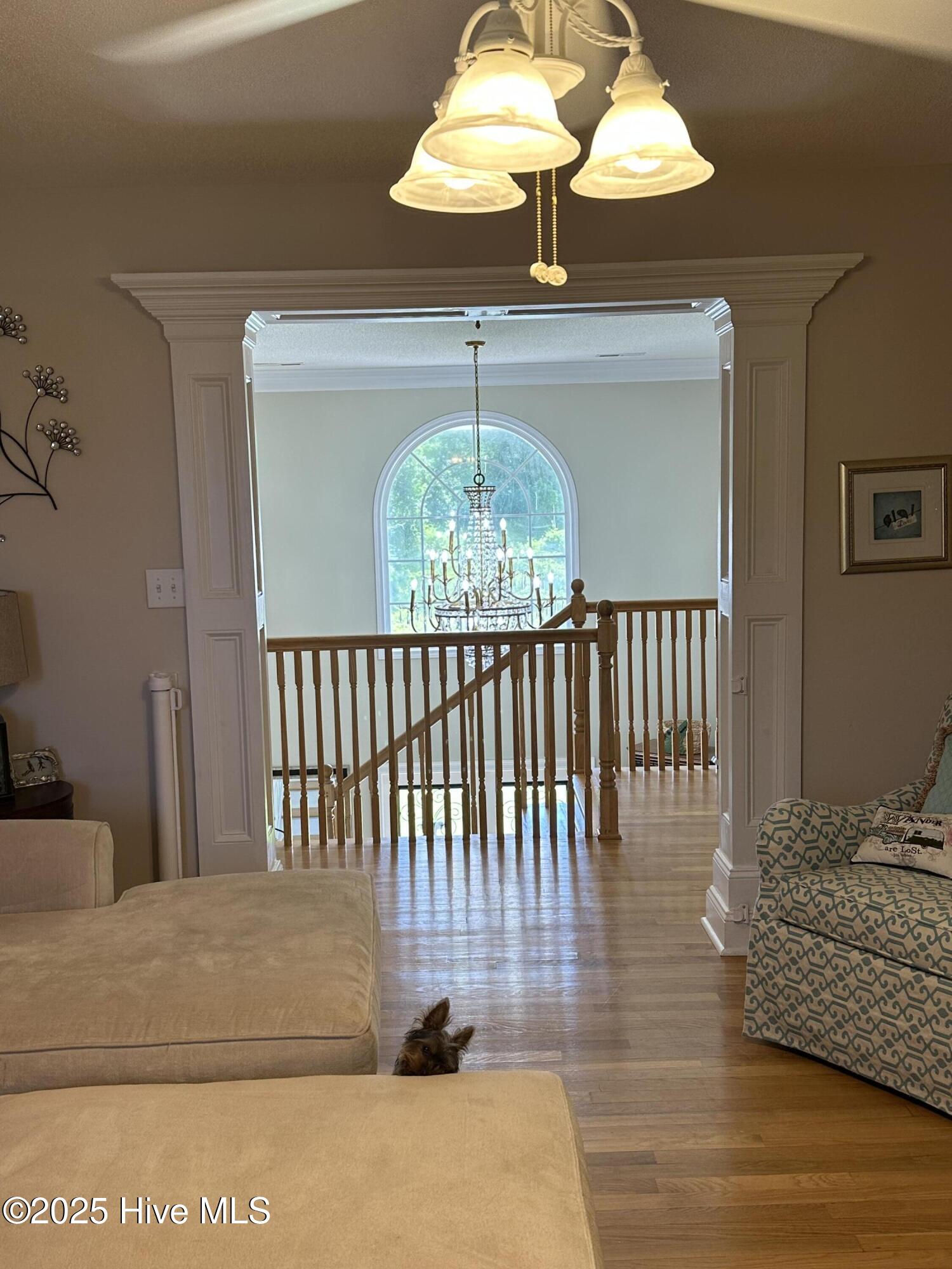 100514130 | Photo 107