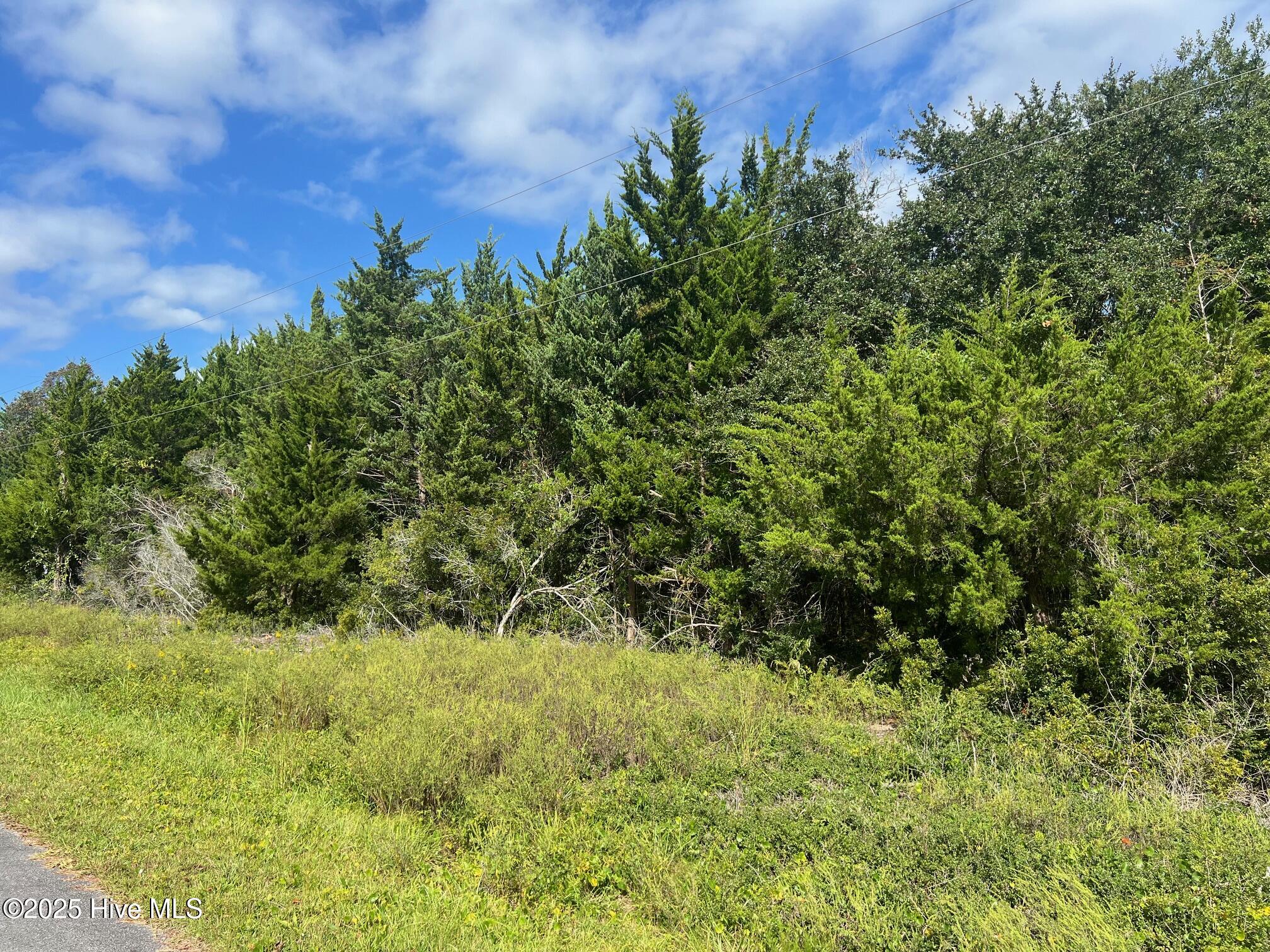 Homes for sale in Beaufort, NC | 157 Sunrise Dr, Beaufort, NC 28516 | MLS# 100538718